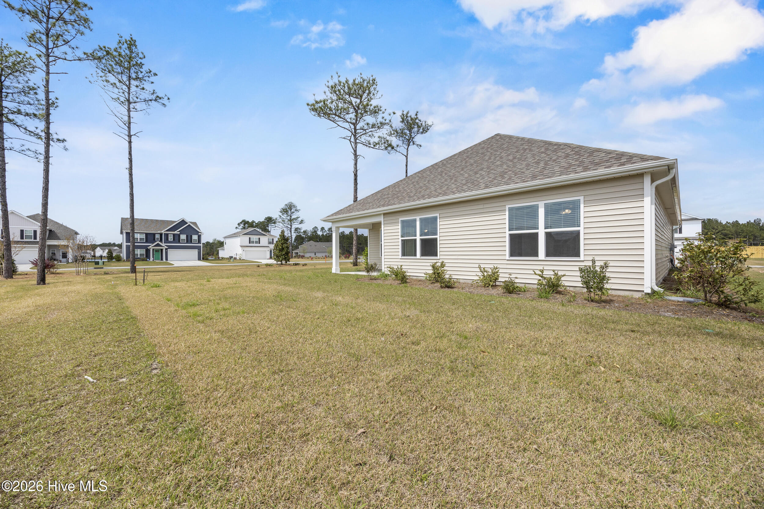 100563426 | Photo 34