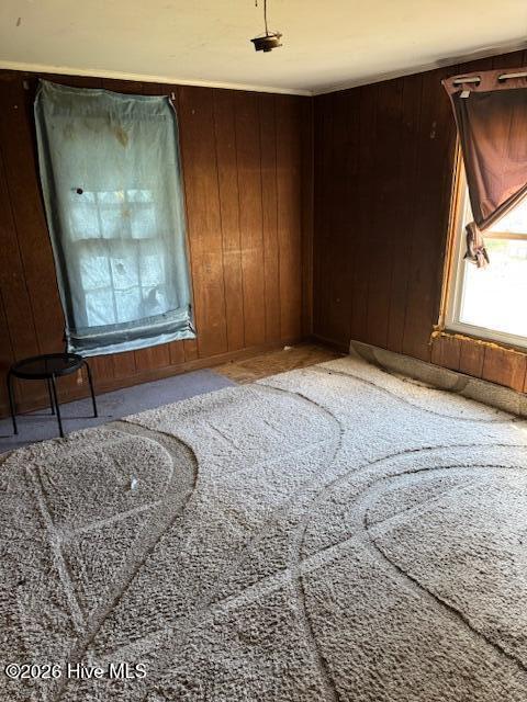 100568632 | Photo 14