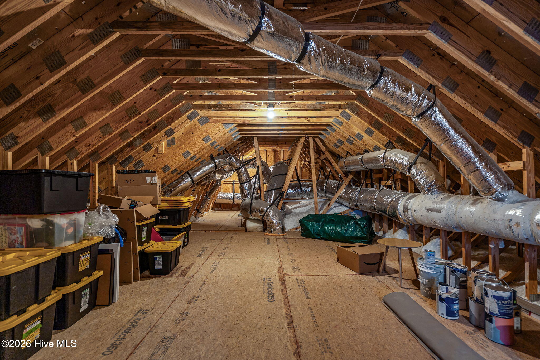 100549684 | Photo 42