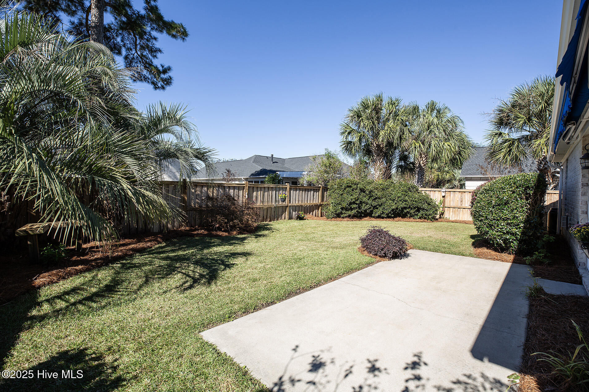 100537210 | Photo 28