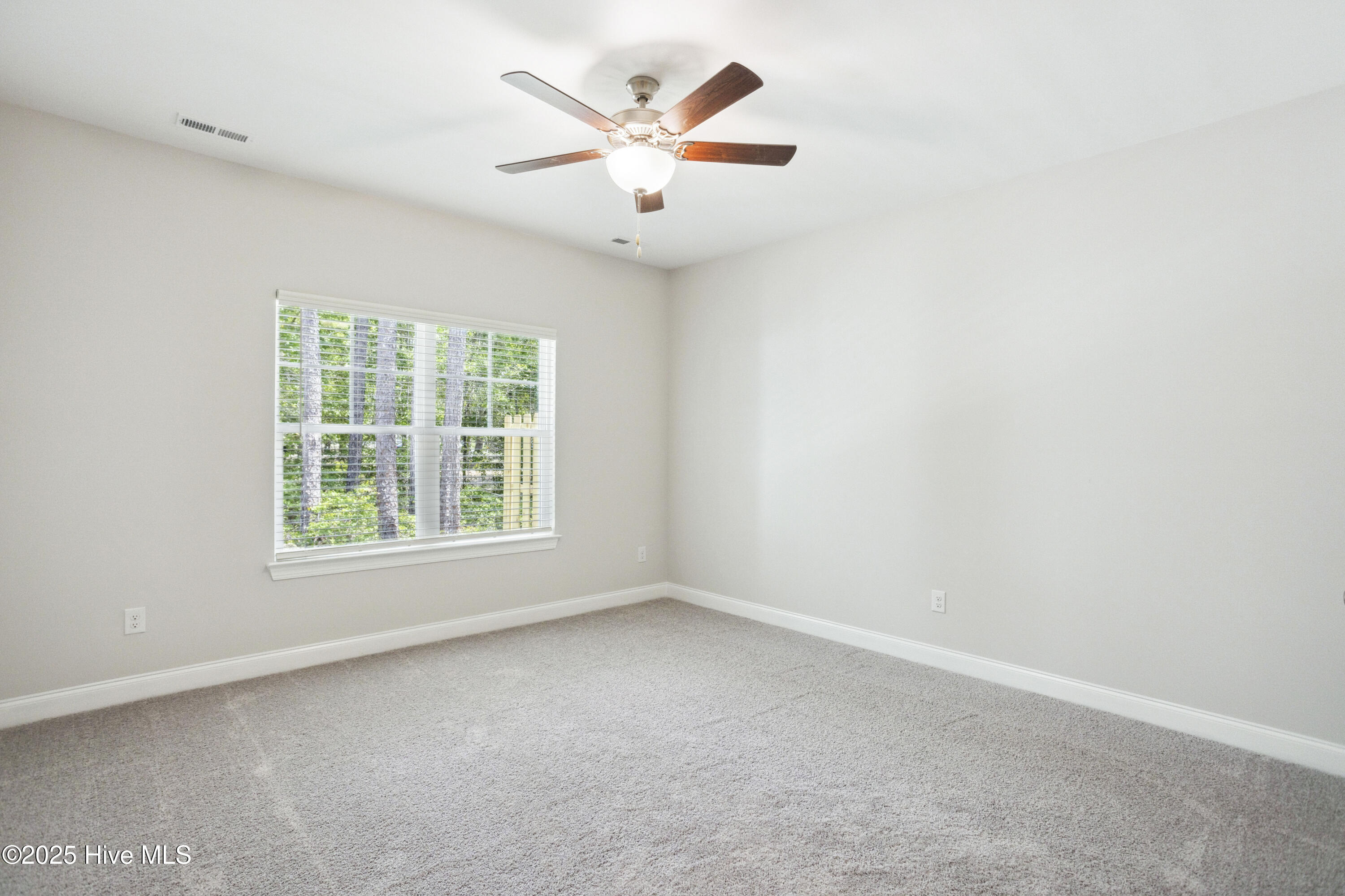 100543371 | Photo 14