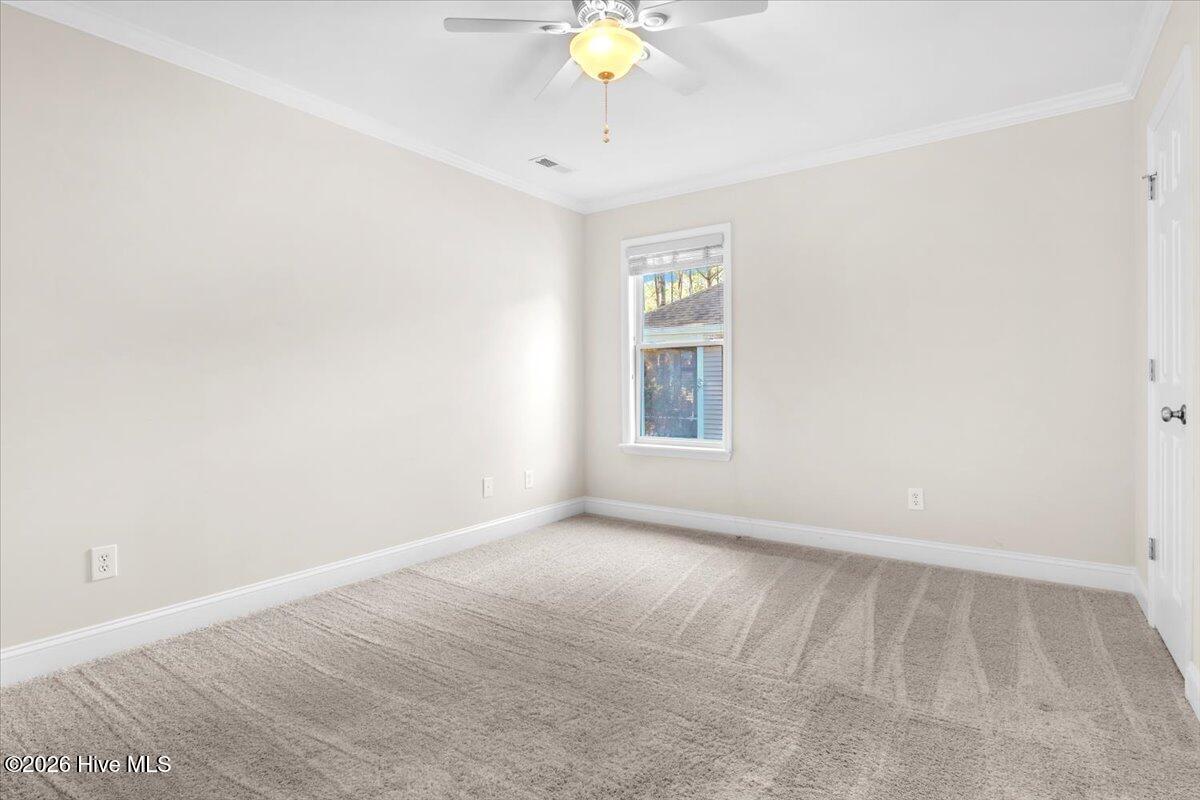 100556413 | Photo 34