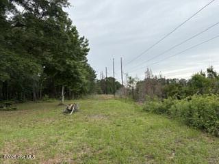 100585101 | Photo 16