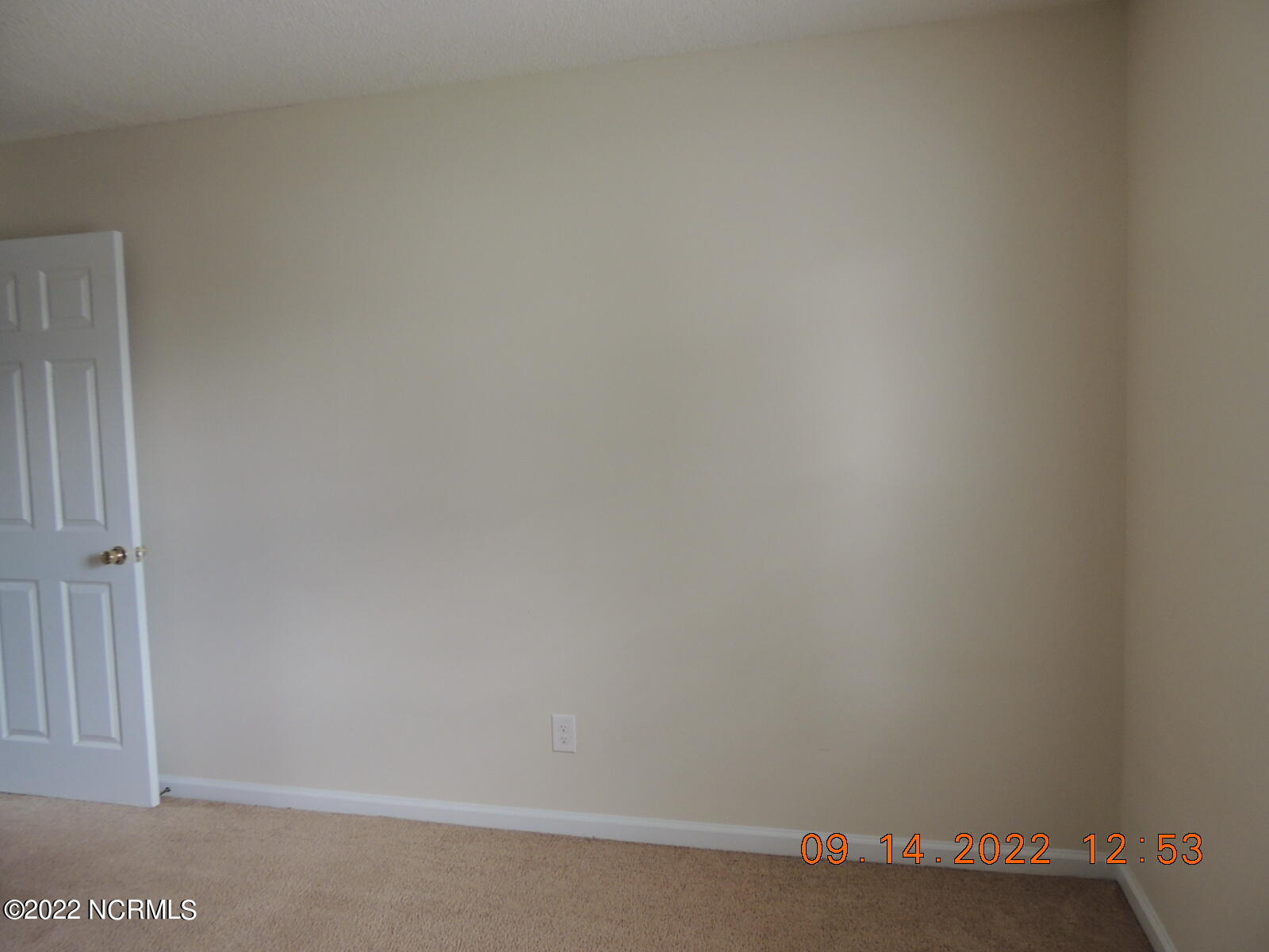 100548938 | Photo 15