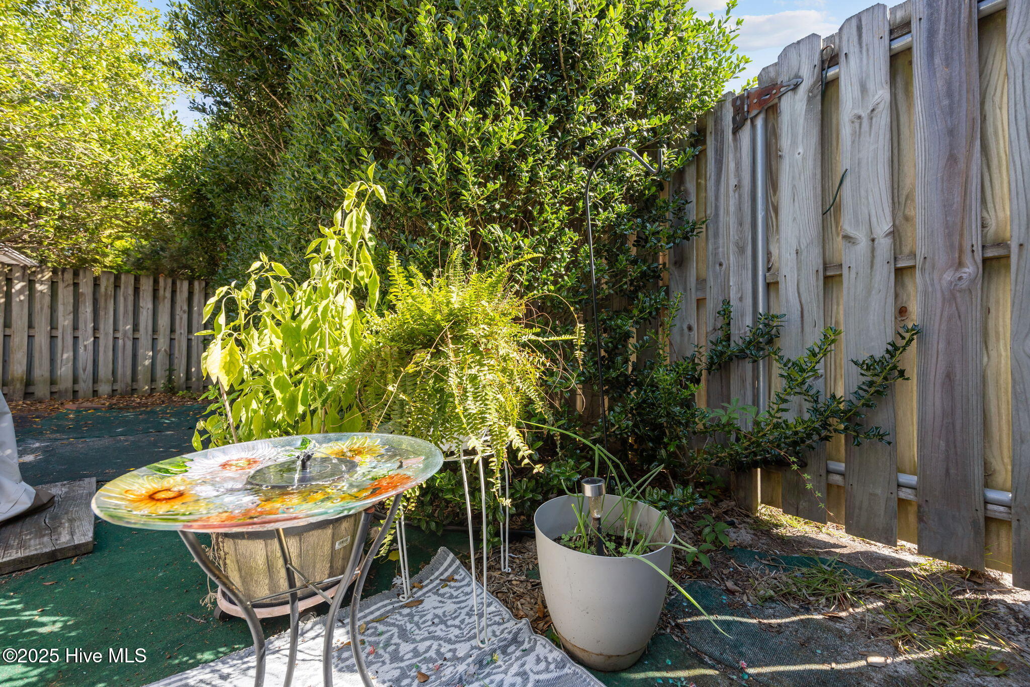 100532980 | Photo 36