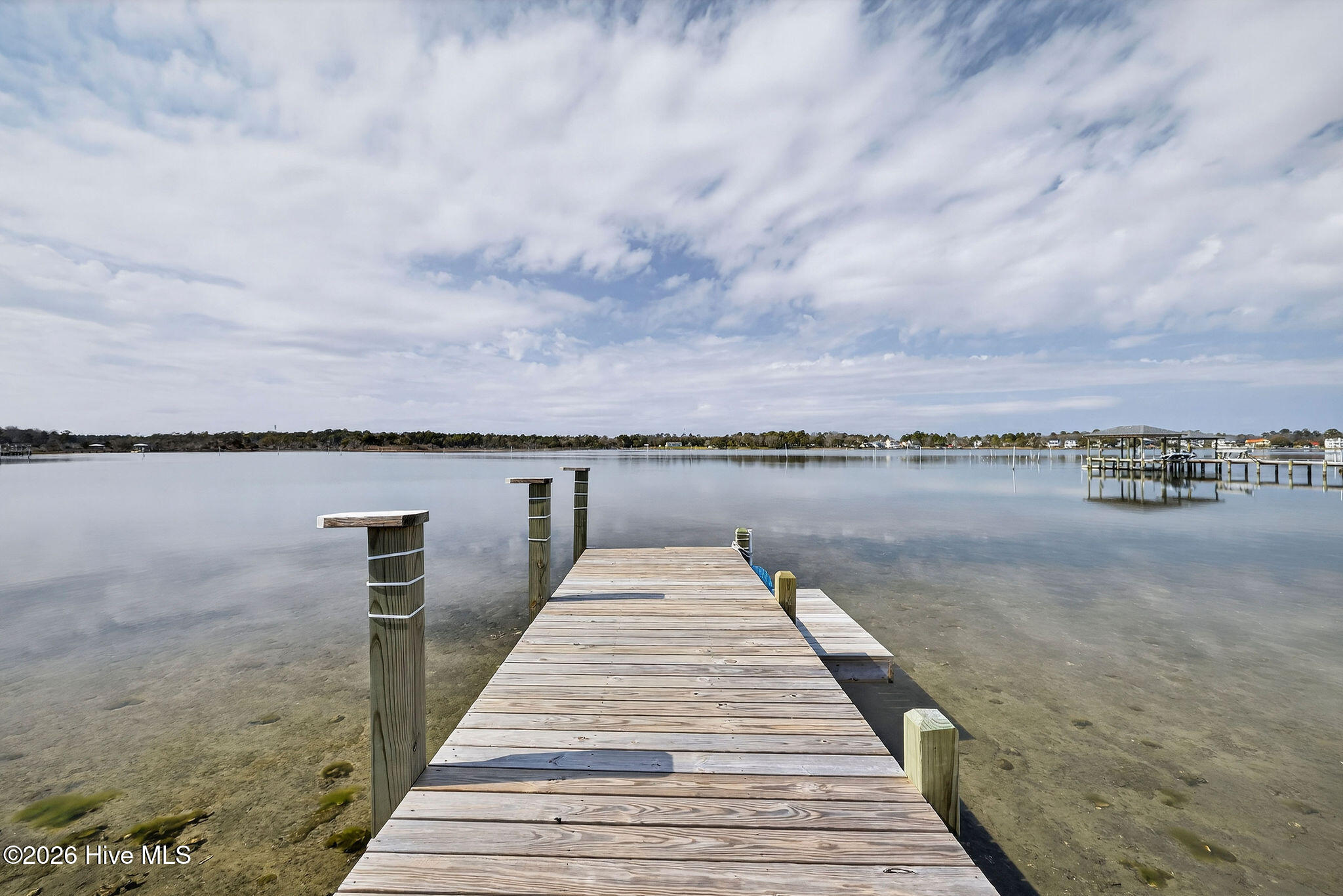 100558217 | Photo 48