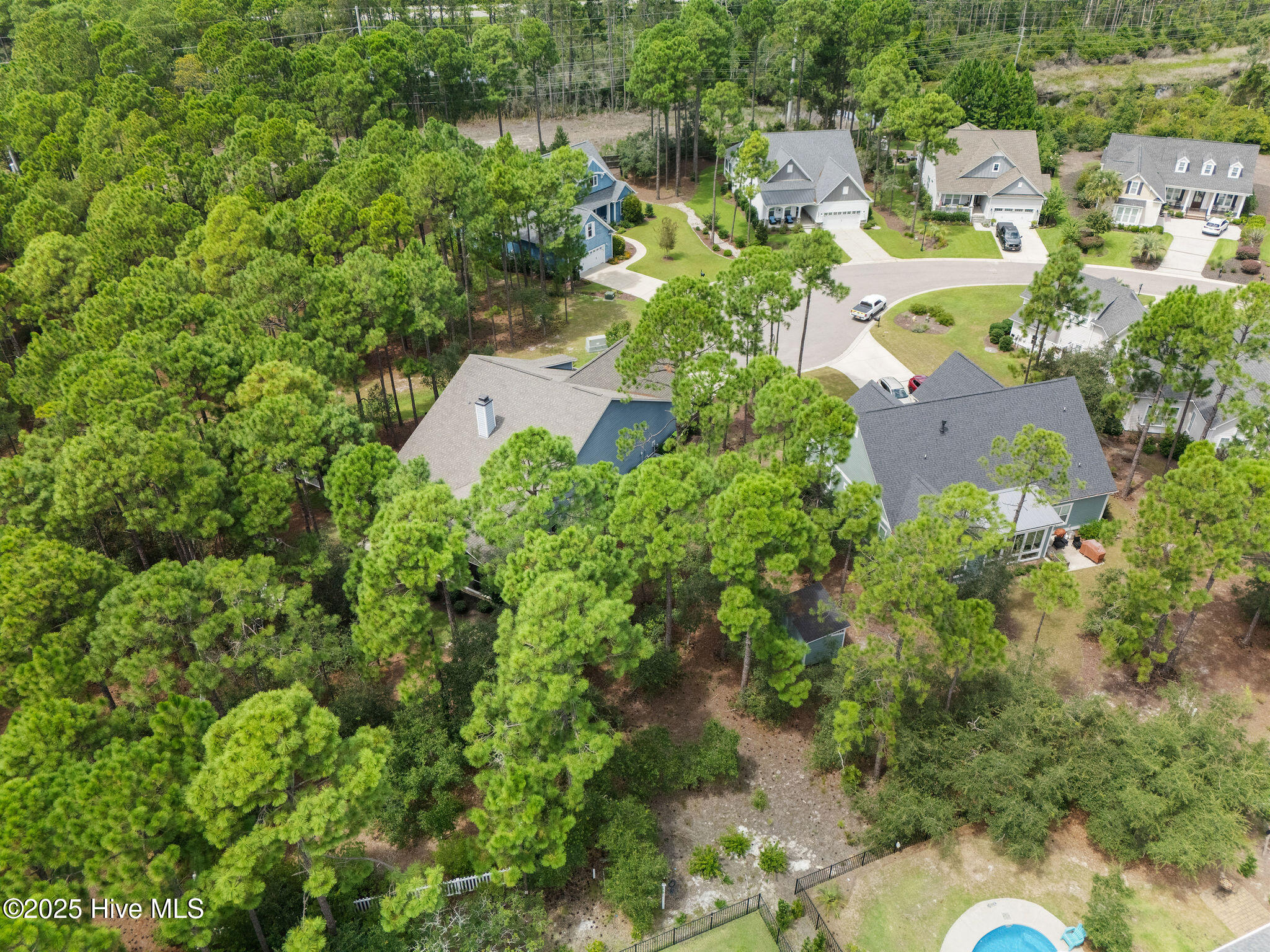 100529341 | Photo 62