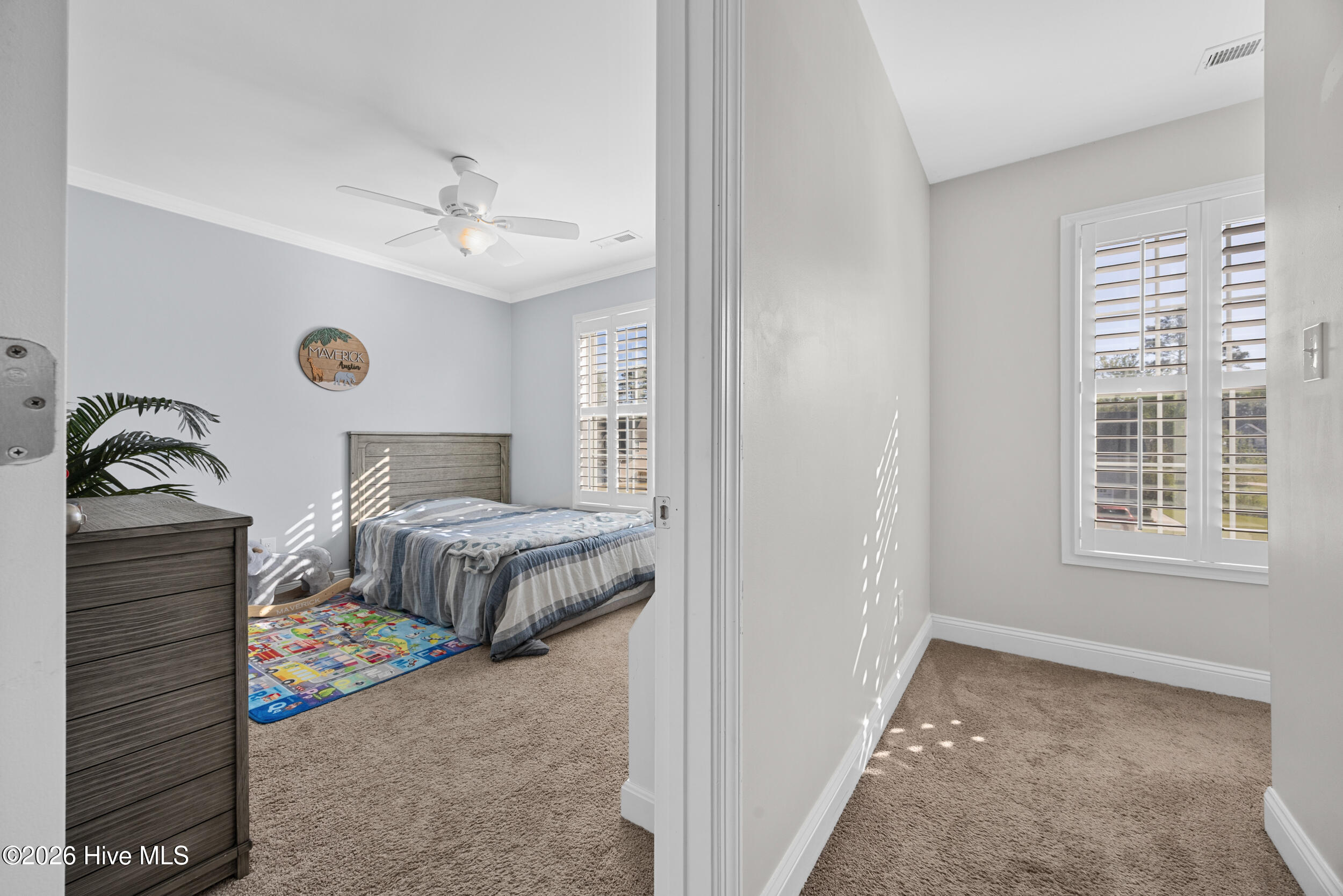 100564853 | Photo 32