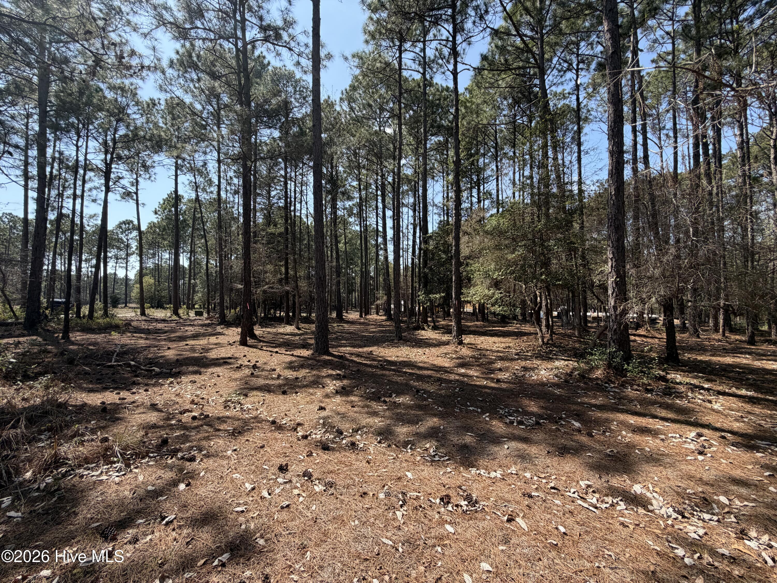 6786 Holton Place, Ocean Isle Beach, NC, 28469