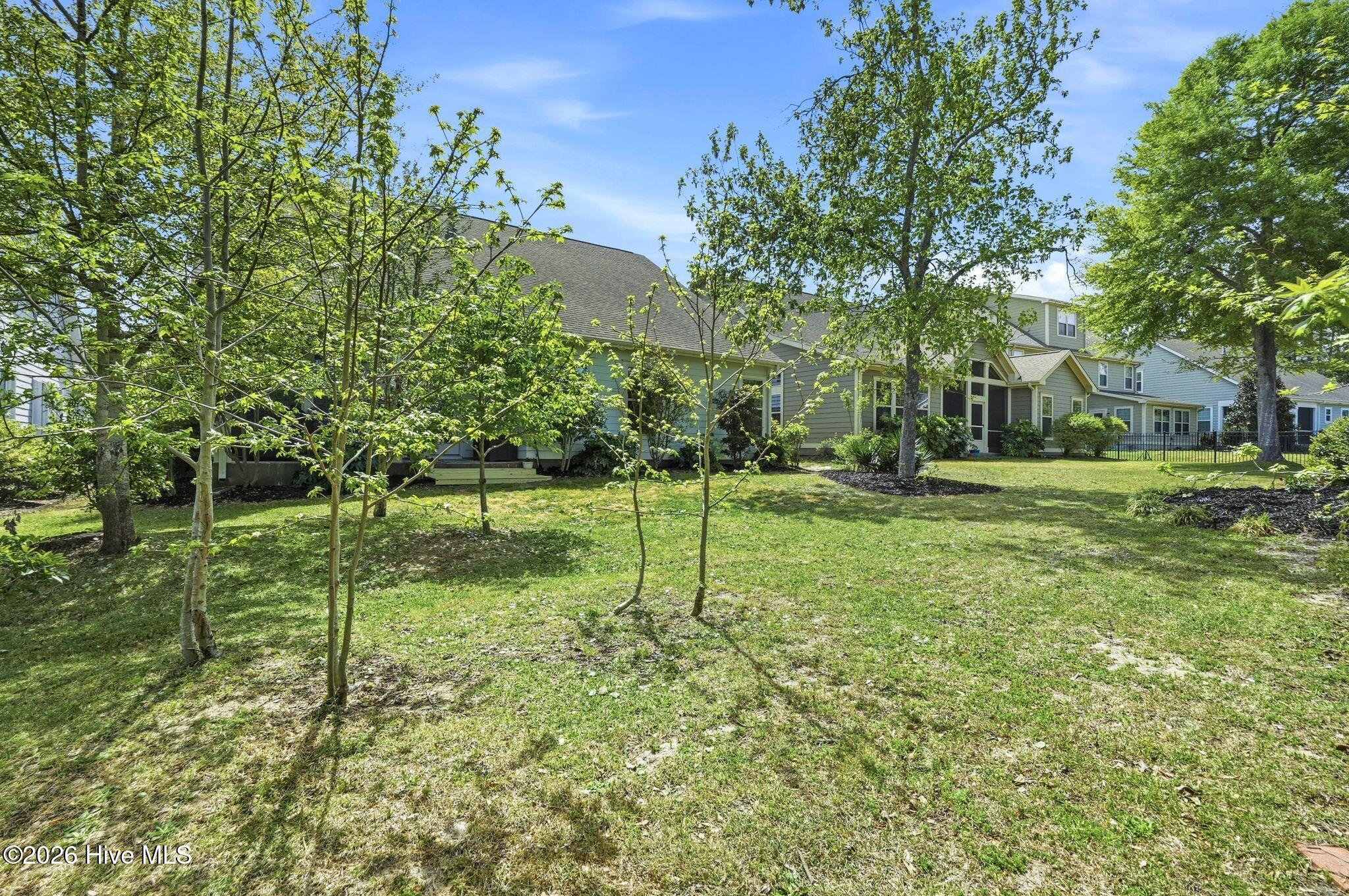 100566461 | Photo 50