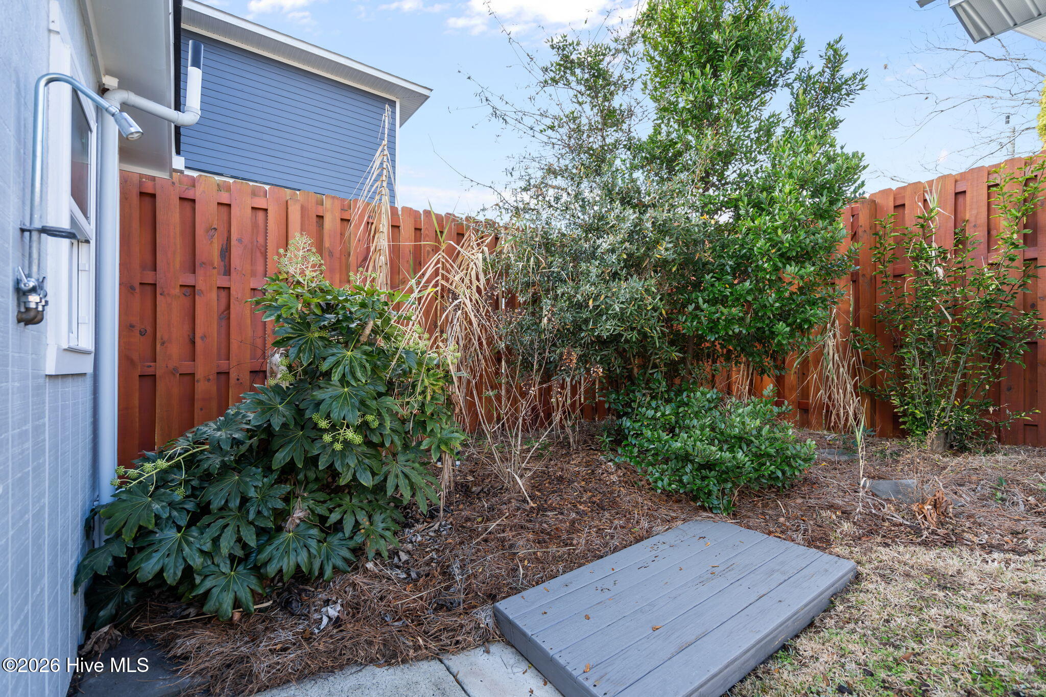 100548221 | Photo 49