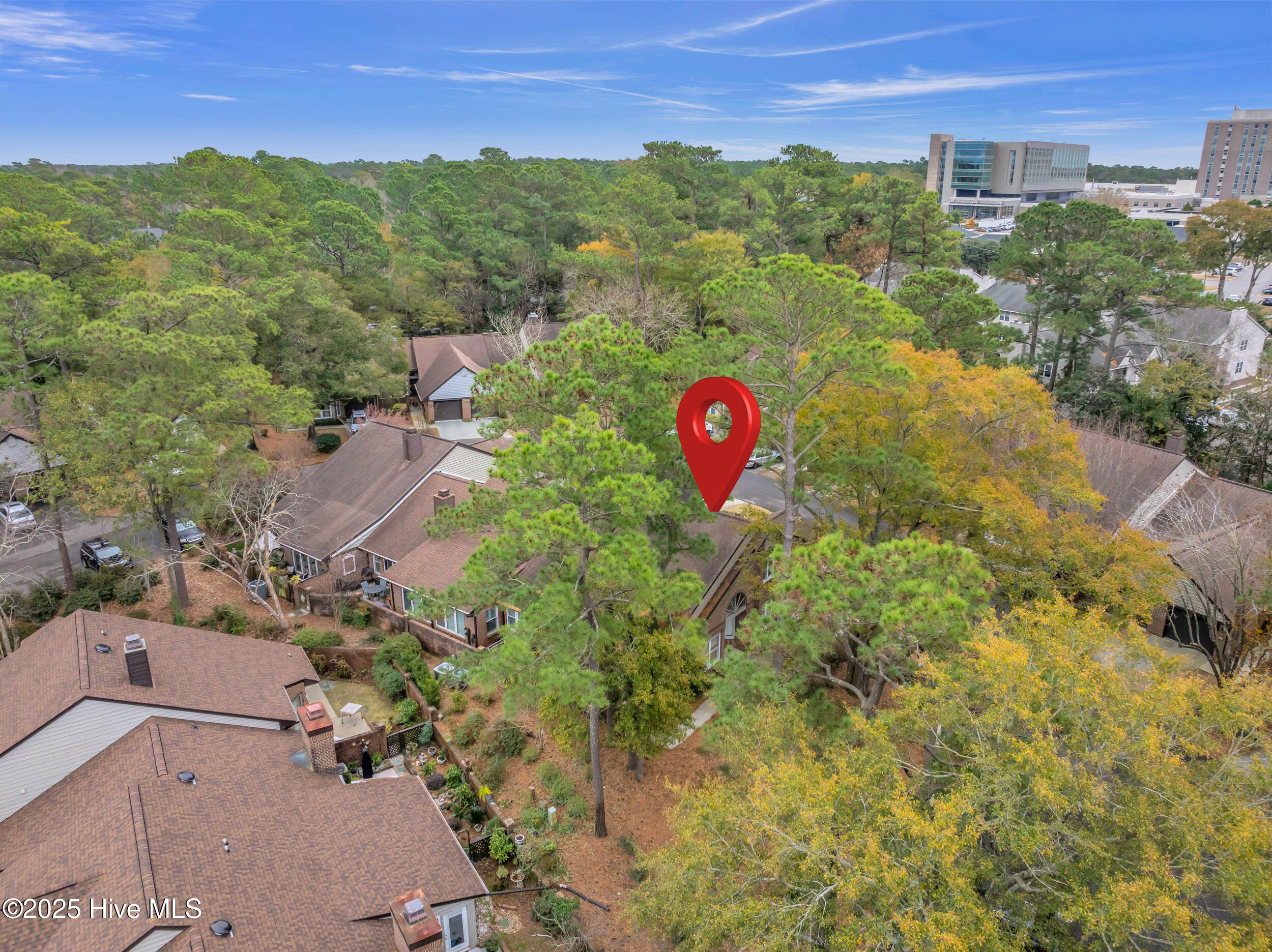 100546535 | Photo 48