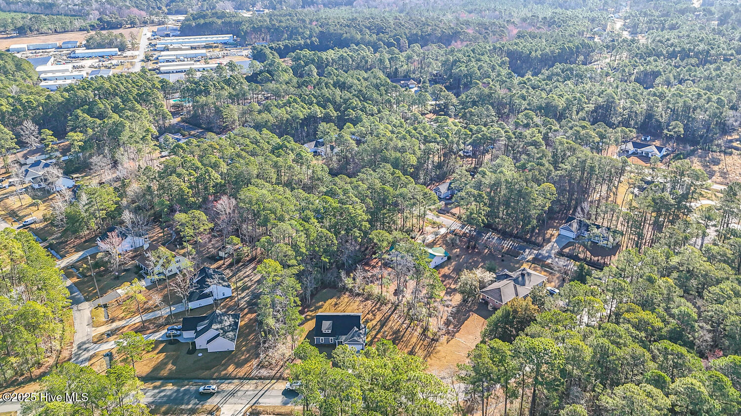 100541547 | Photo 45