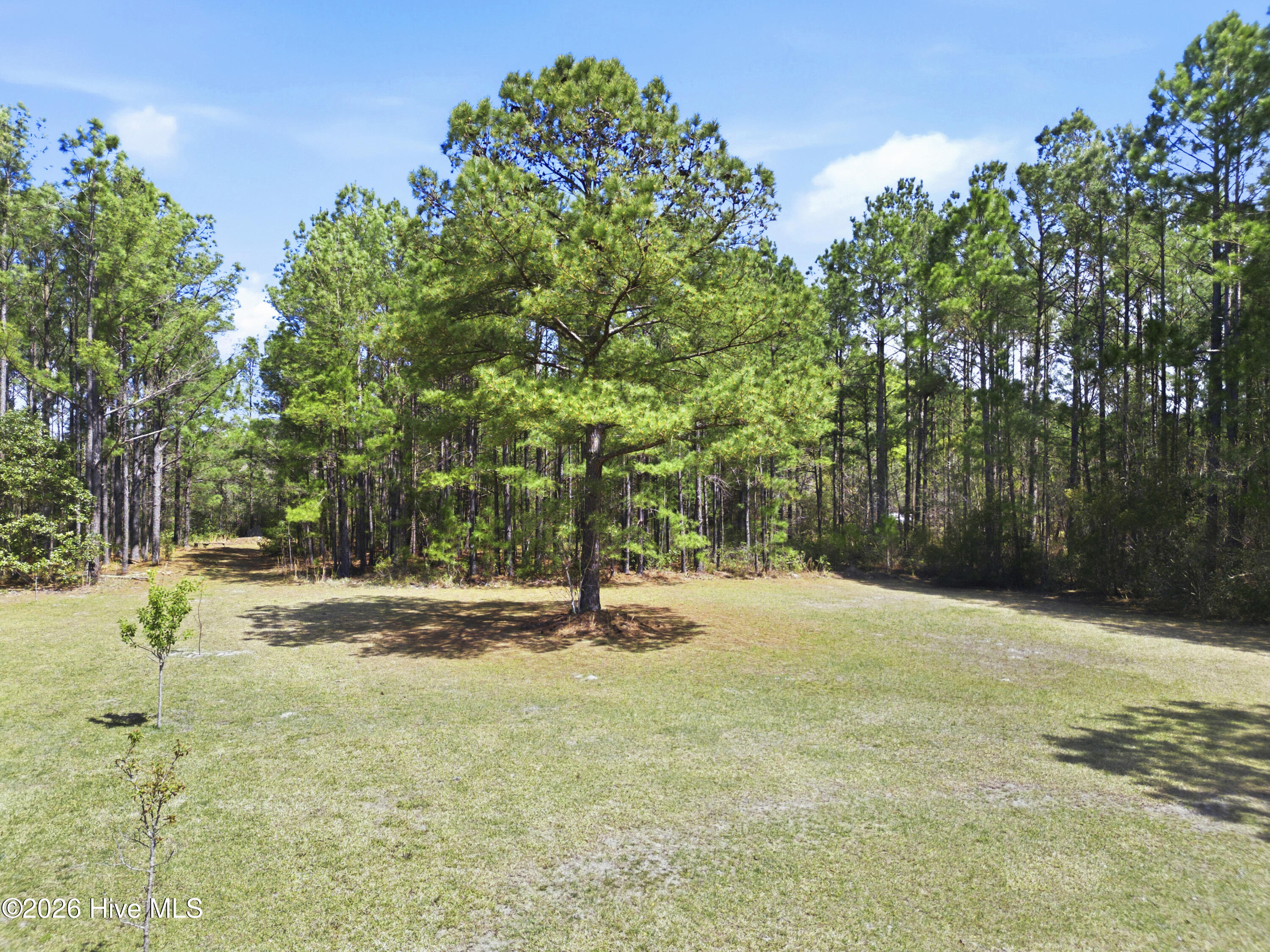 100565497 | Photo 10