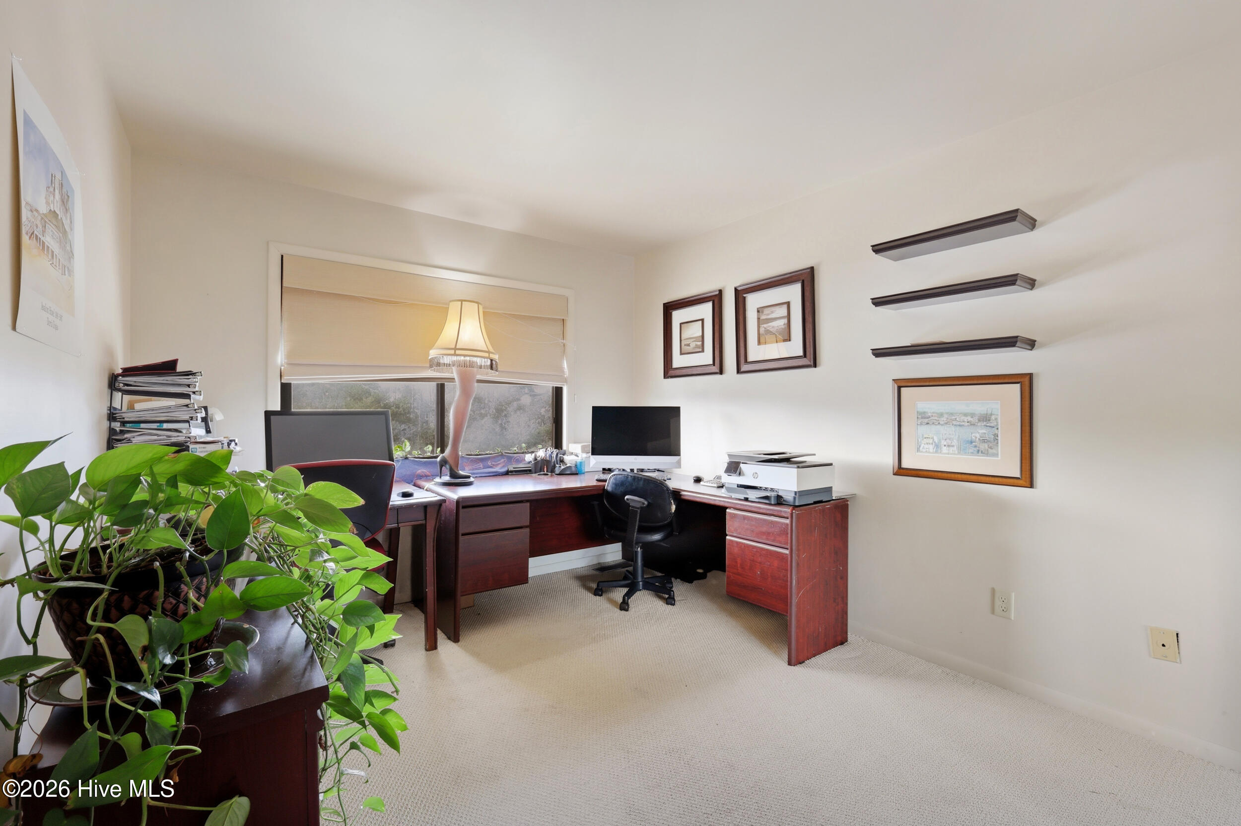 100534046 | Photo 26