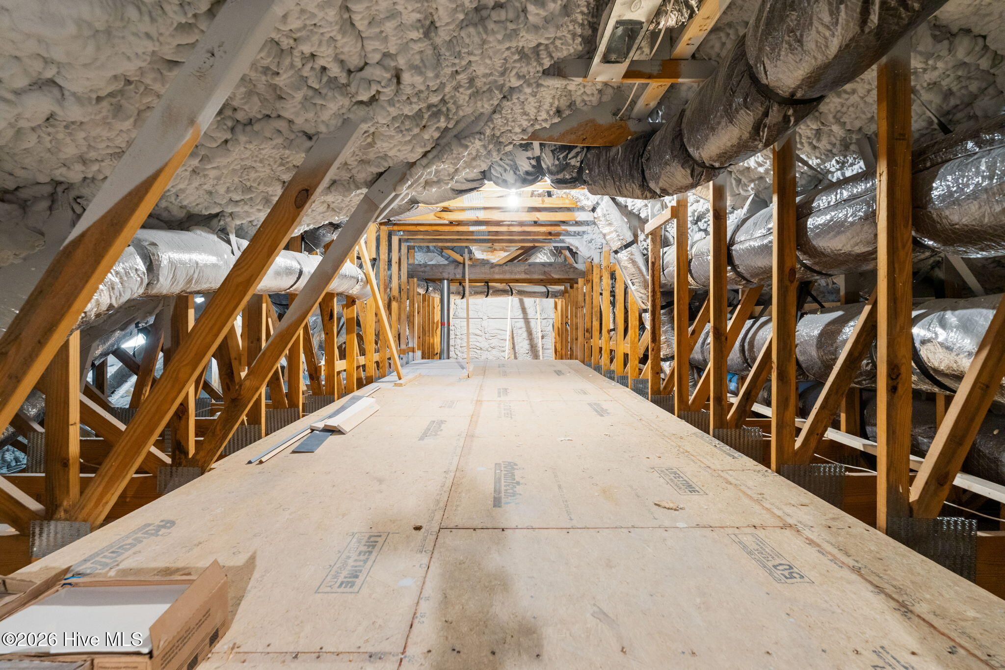 100564943 | Photo 44