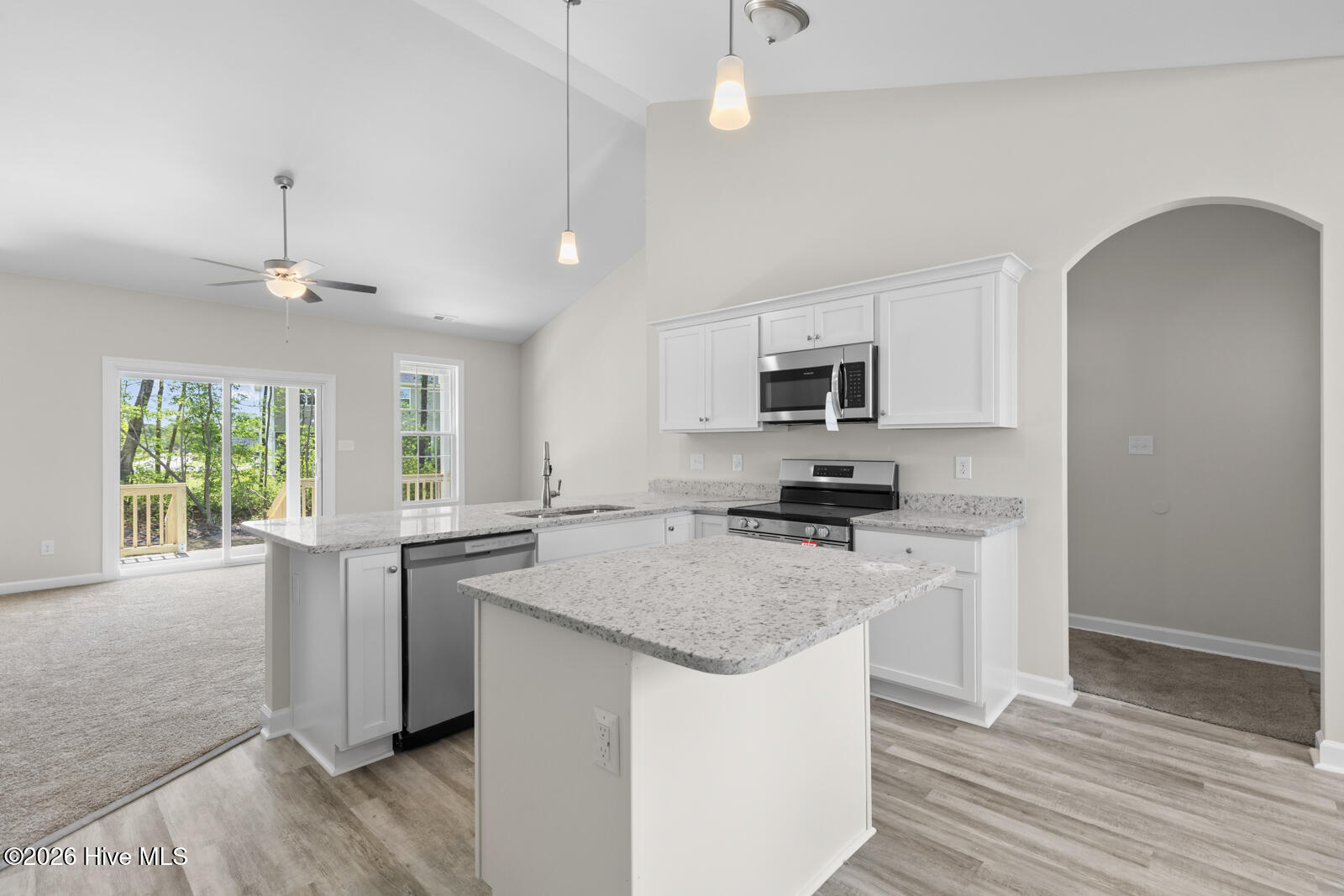 100553181 | Photo 10