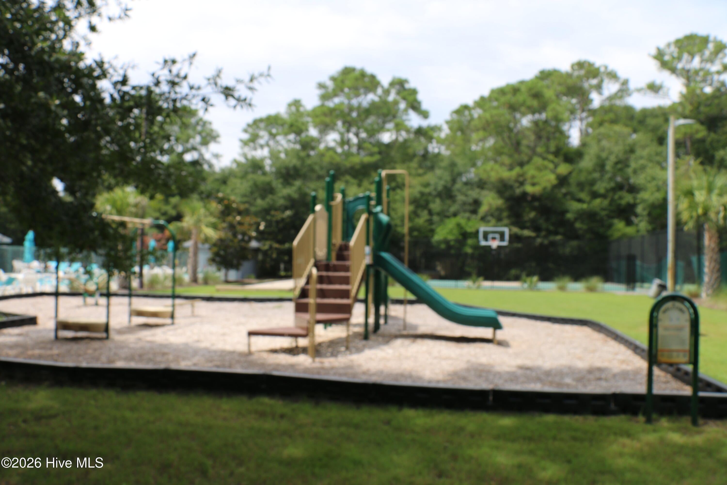 100562125 | Photo 18