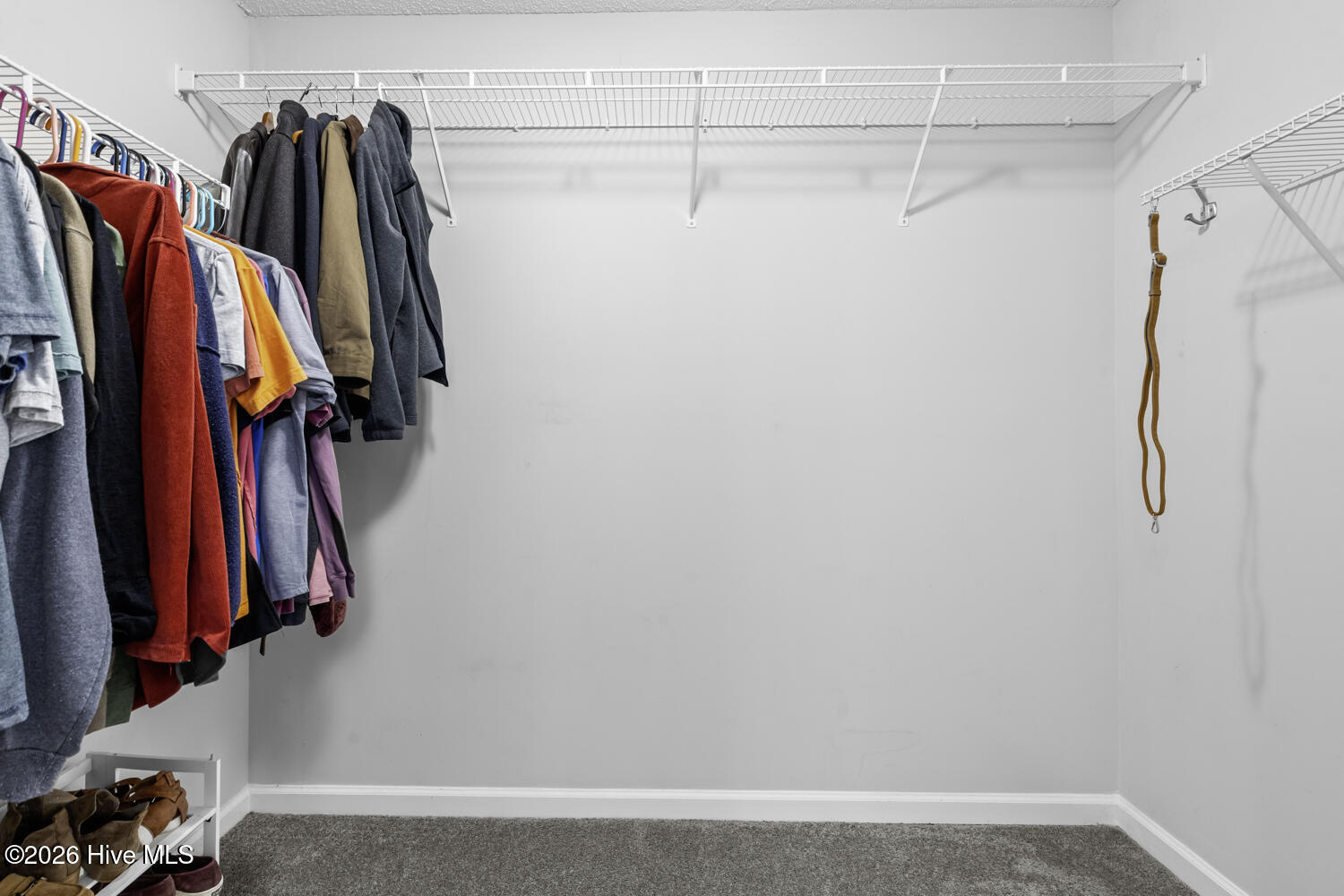 100555225 | Photo 20