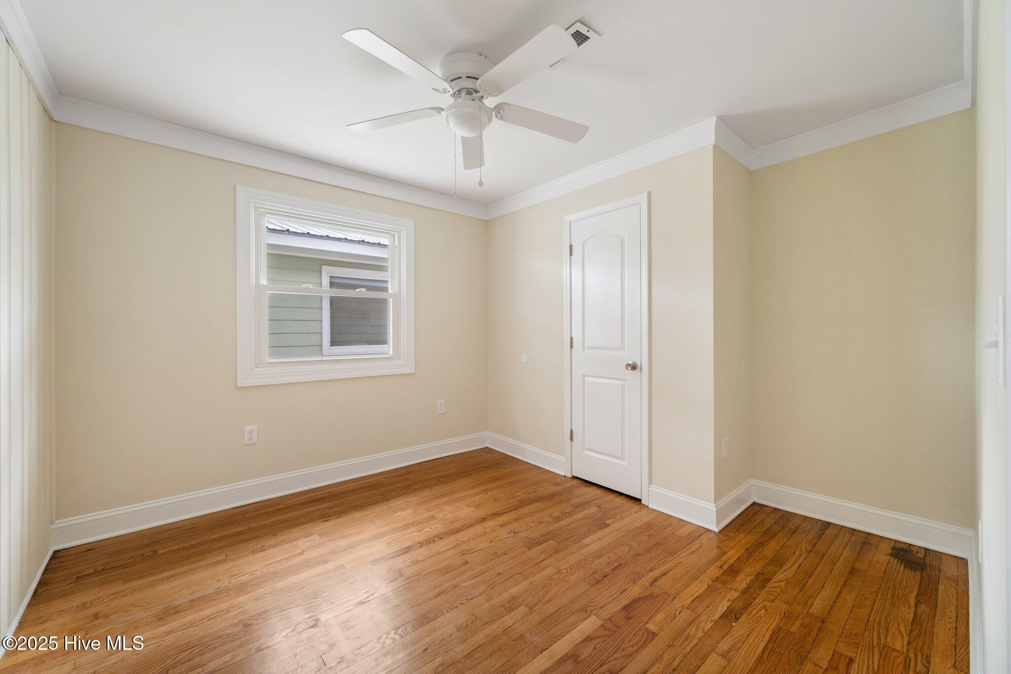 100531691 | Photo 19