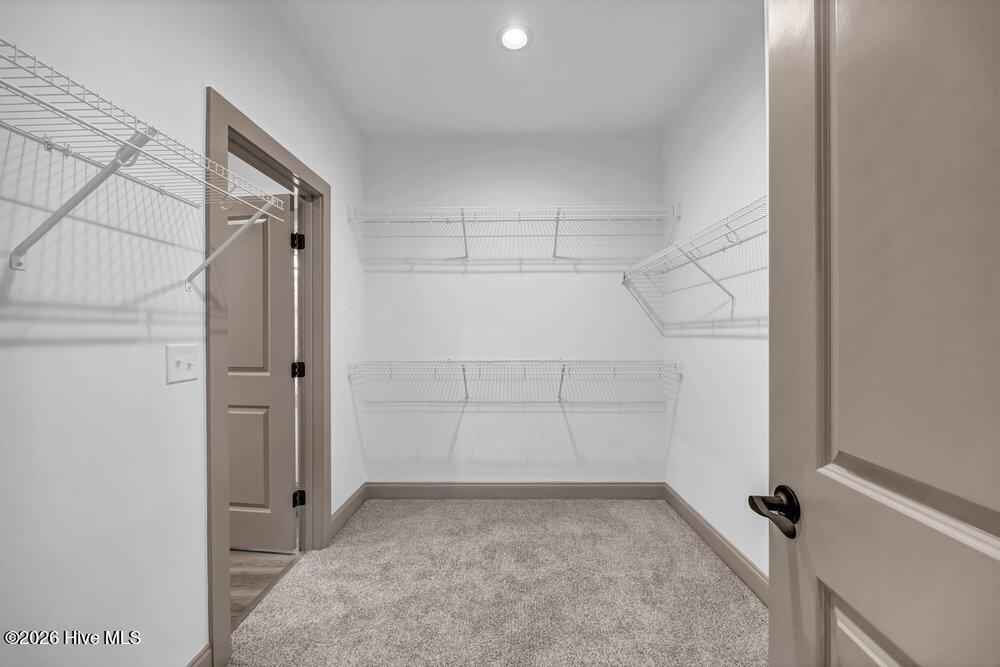 100559132 | Photo 18