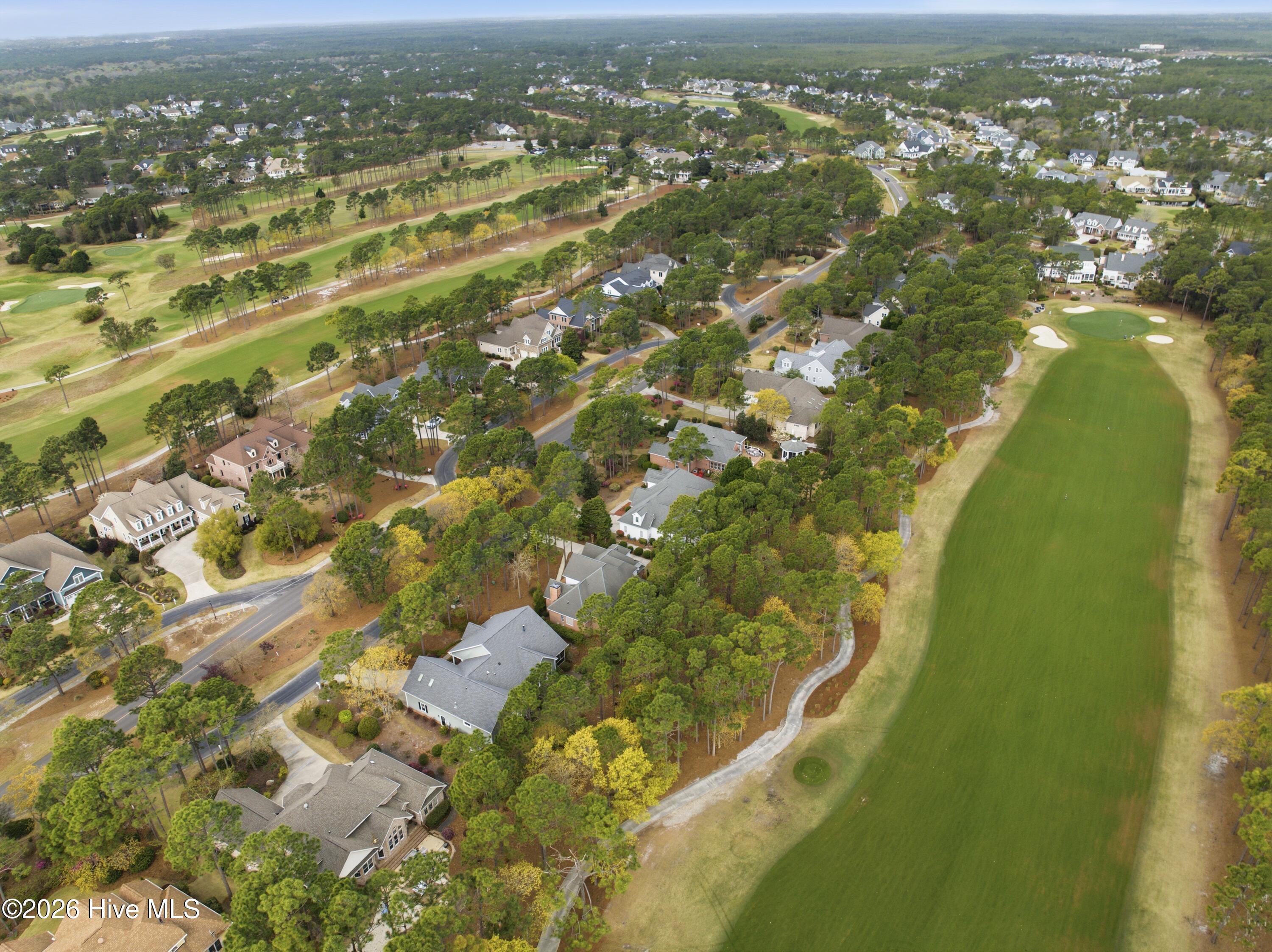 100564679 | Photo 65