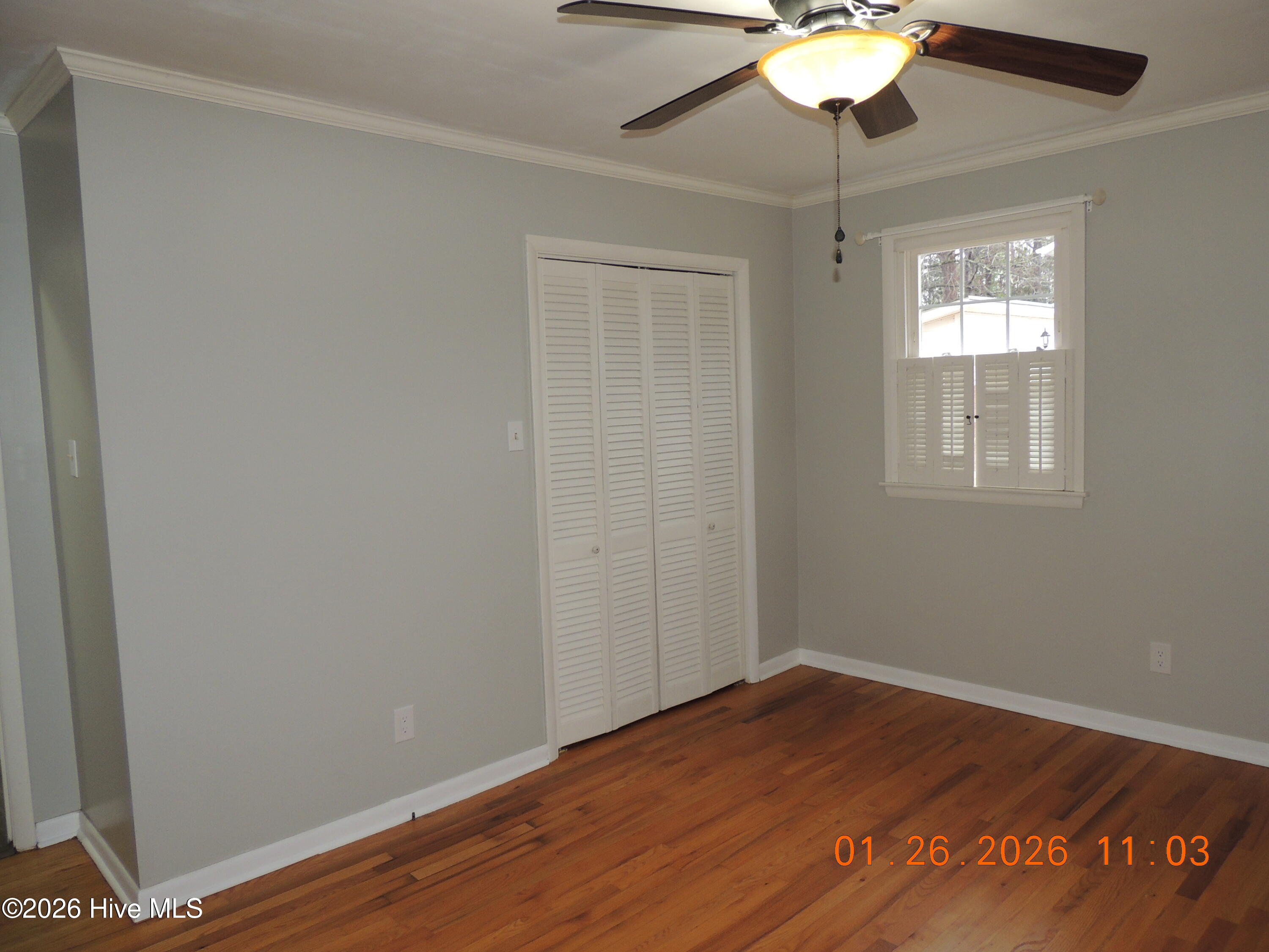 100551473 | Photo 26