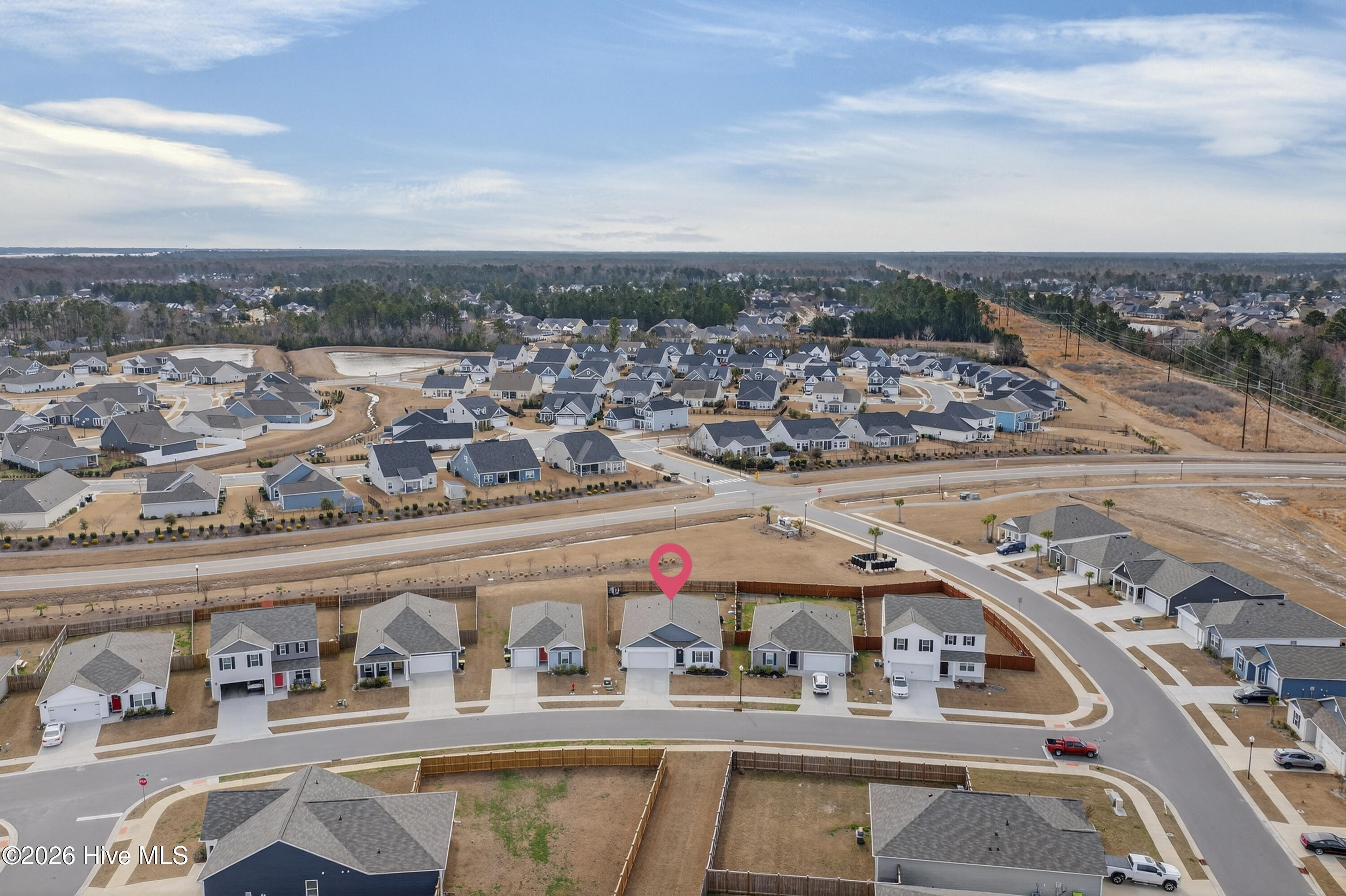 100557466 | Photo 43