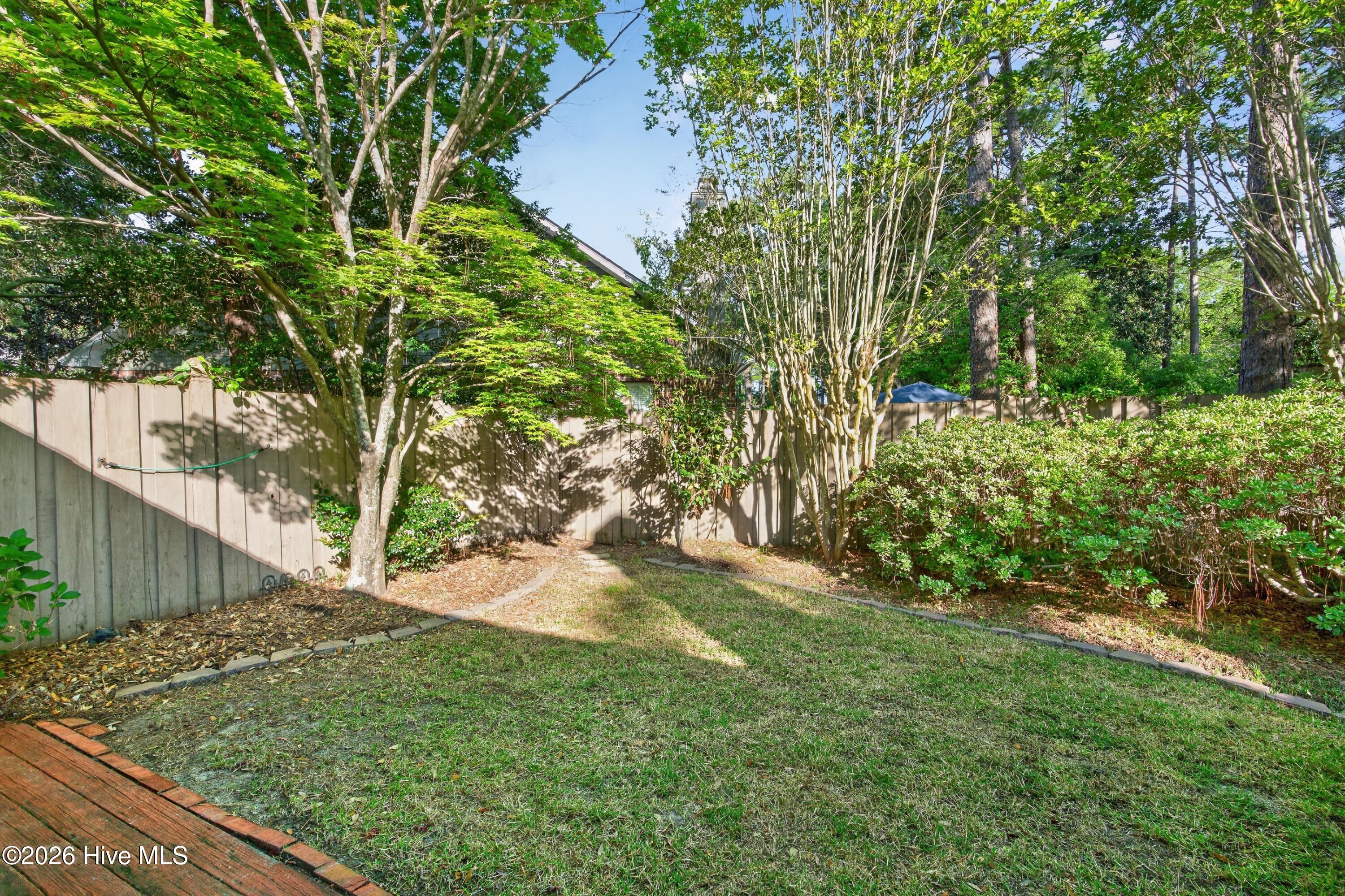 100566829 | Photo 23