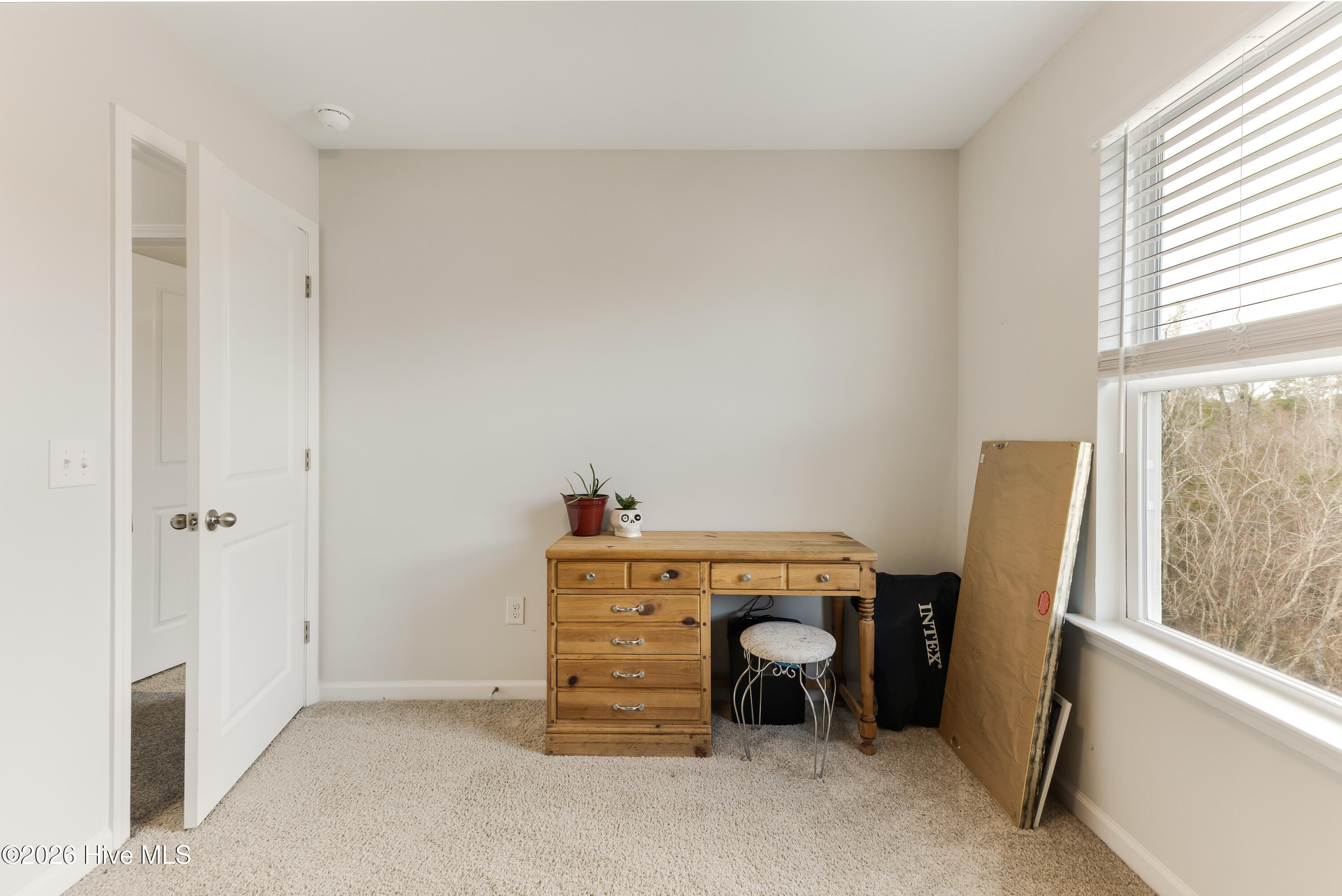 100565861 | Photo 32