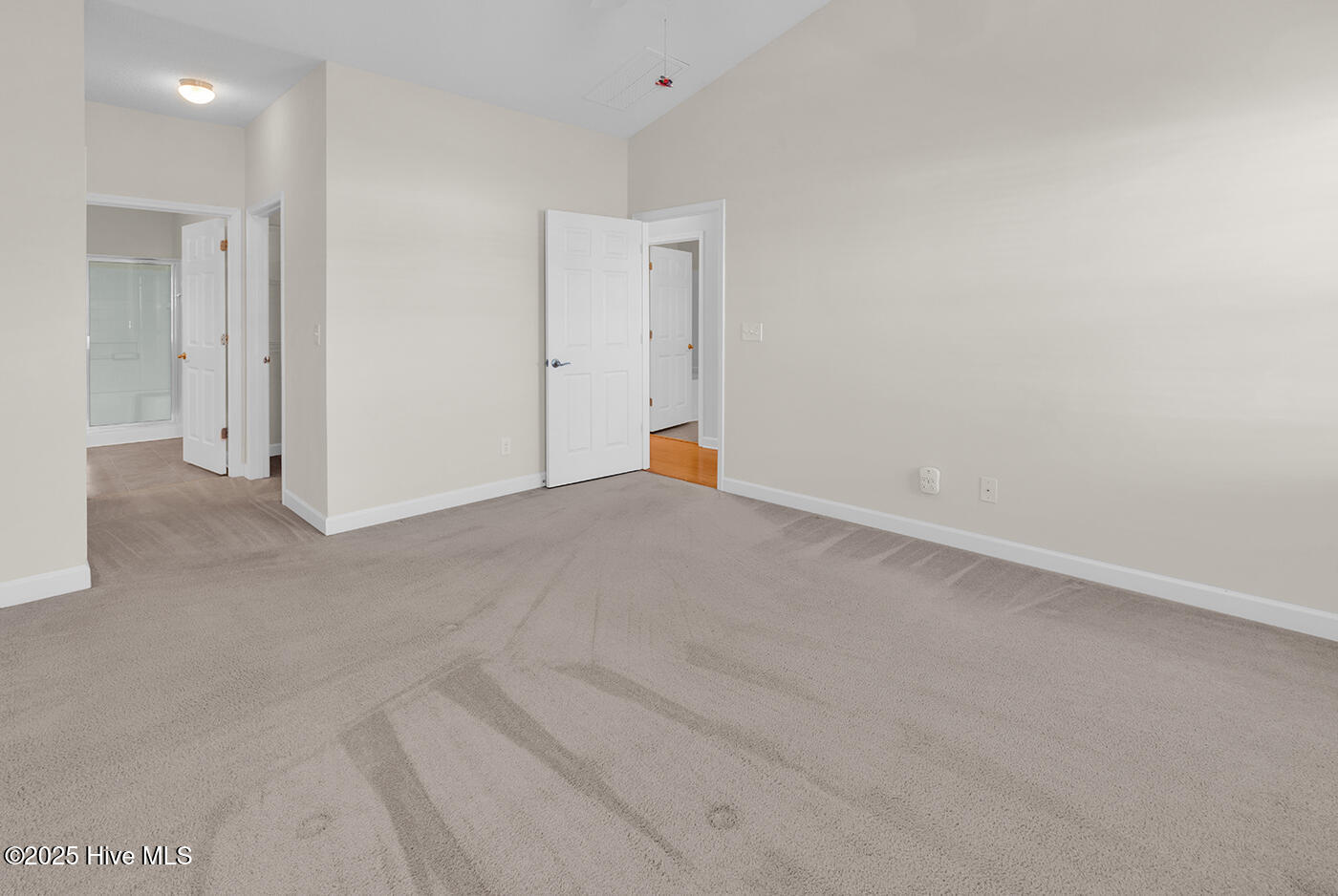 100545538 | Photo 24