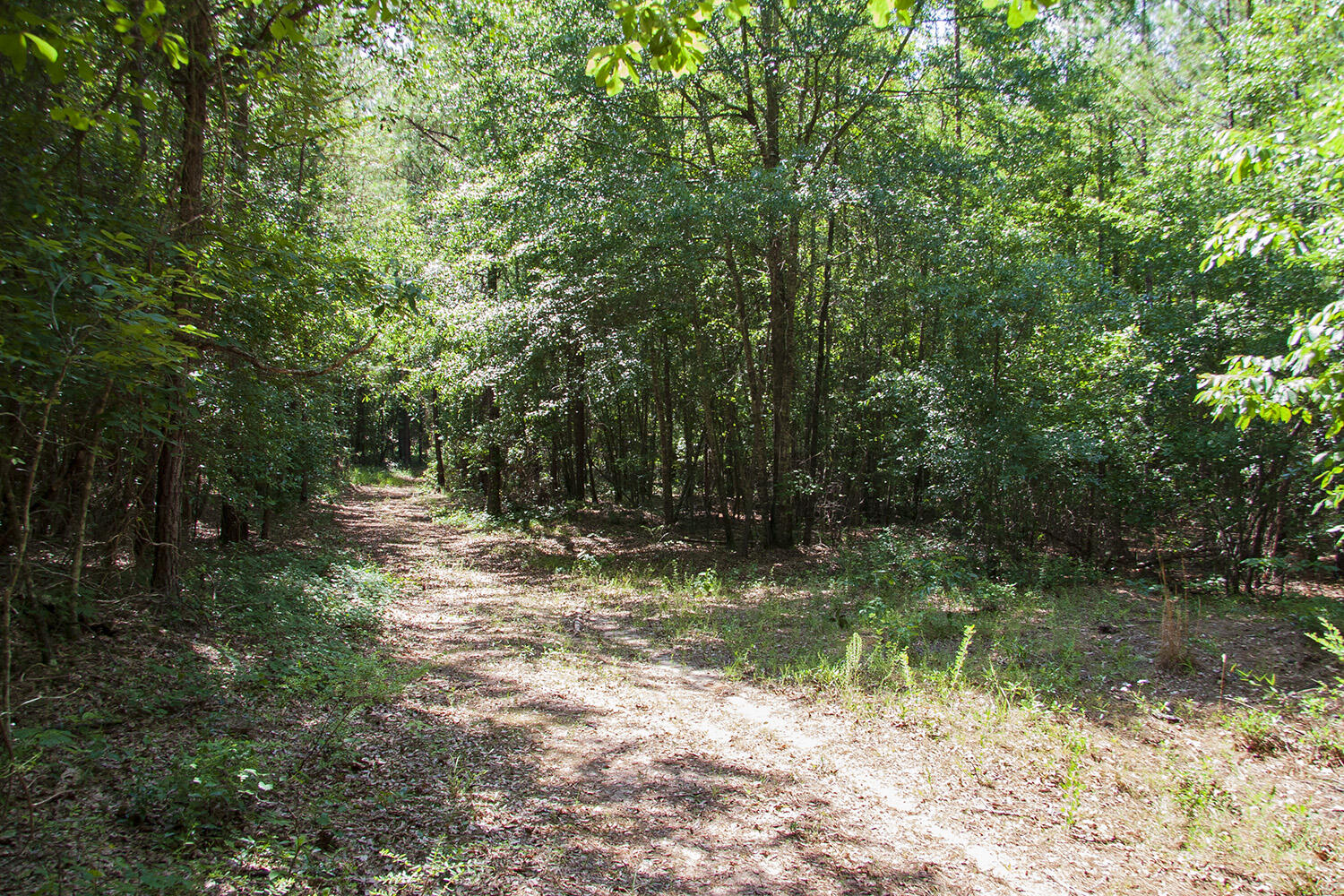 1515C HEPHZIBAH - MCBEAN Road, Hephzibah, GA, 30815