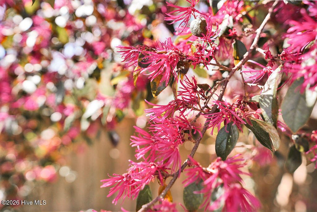 100560710 | Photo 35