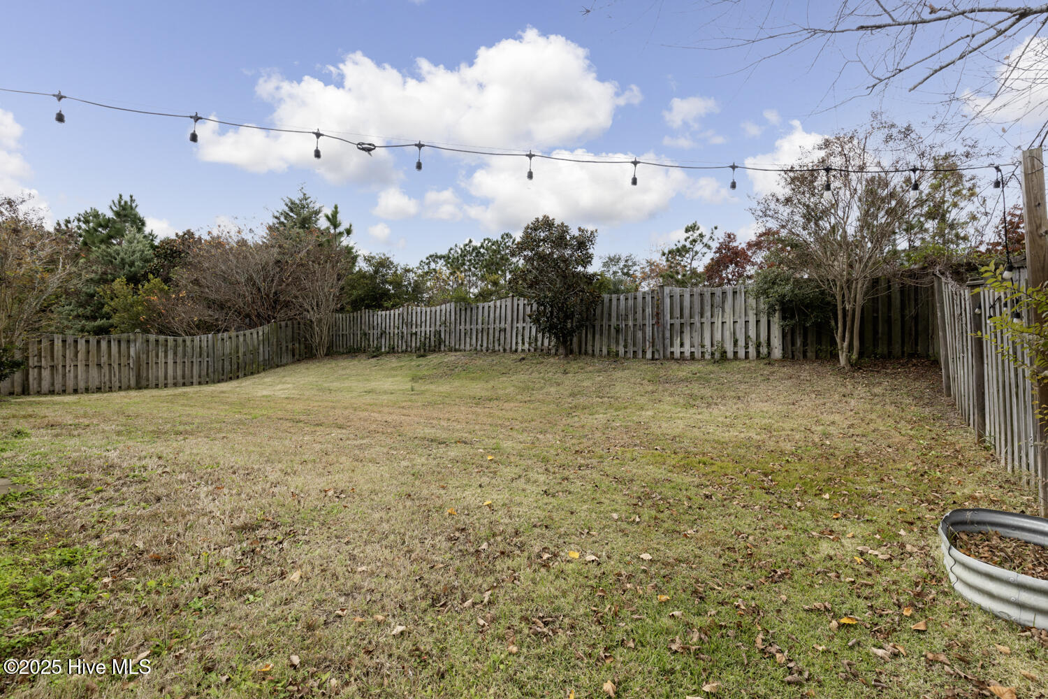 100507529 | Photo 33