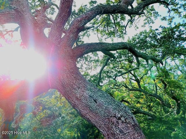 209 Shore Road, Newport, NC, 28570