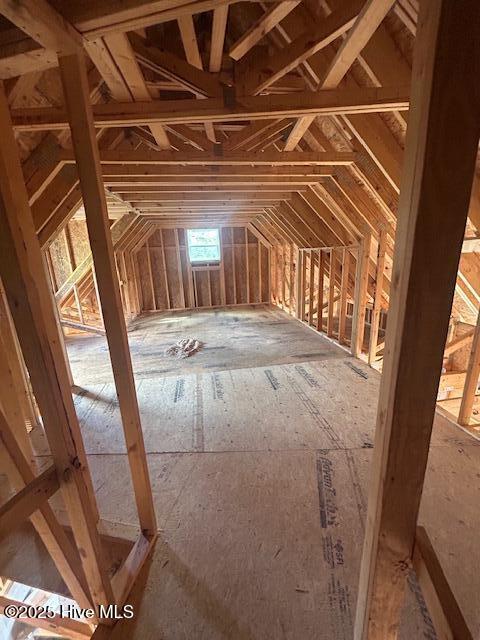 100495669 | Photo 15