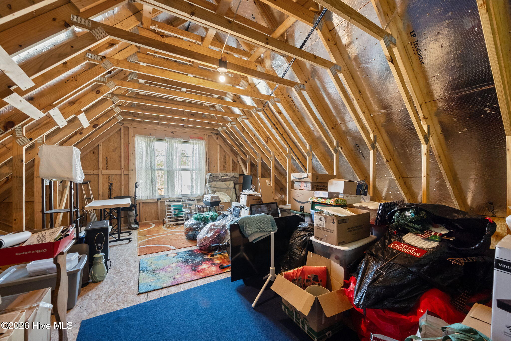 100561377 | Photo 36