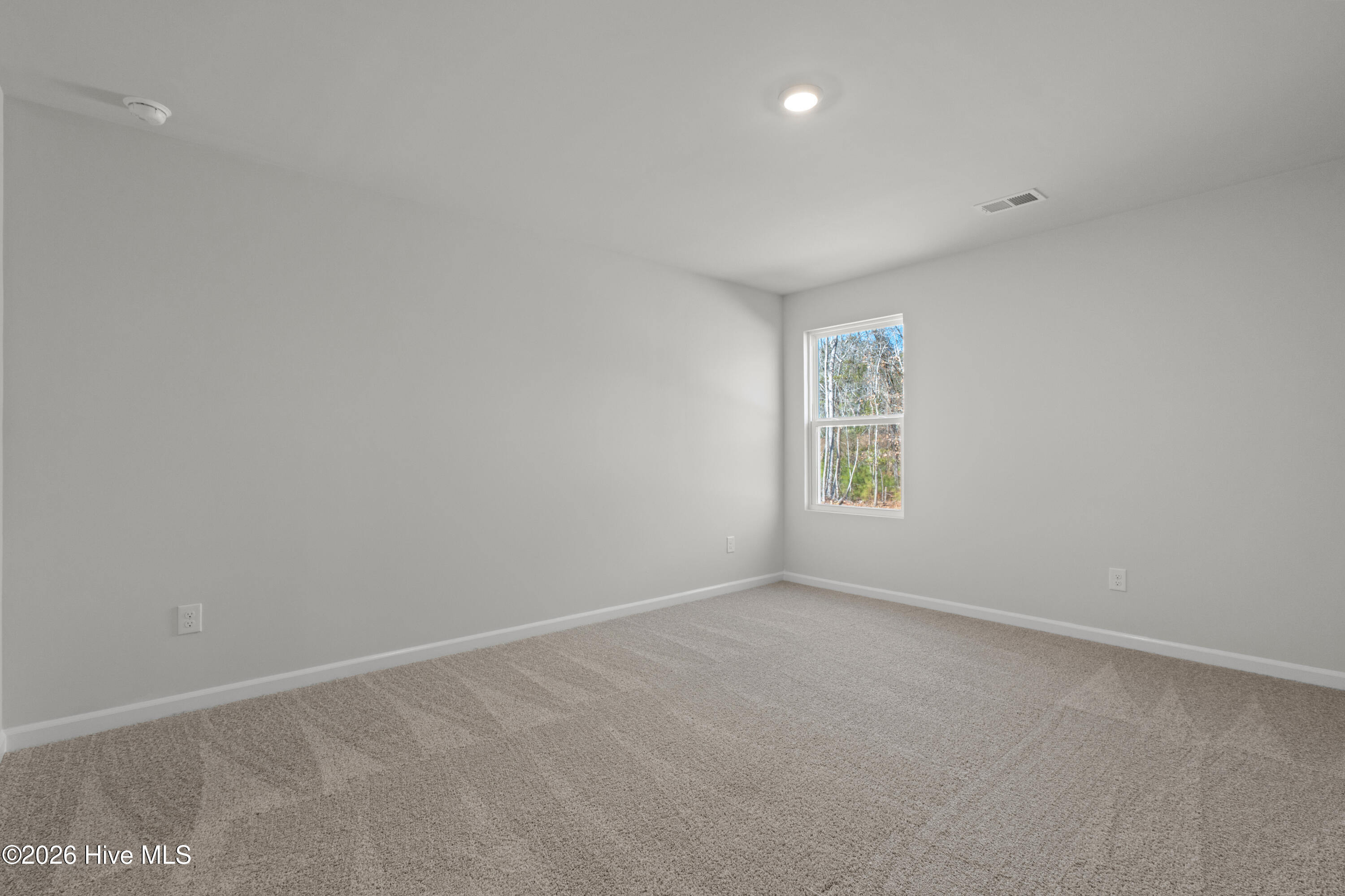 100552114 | Photo 23