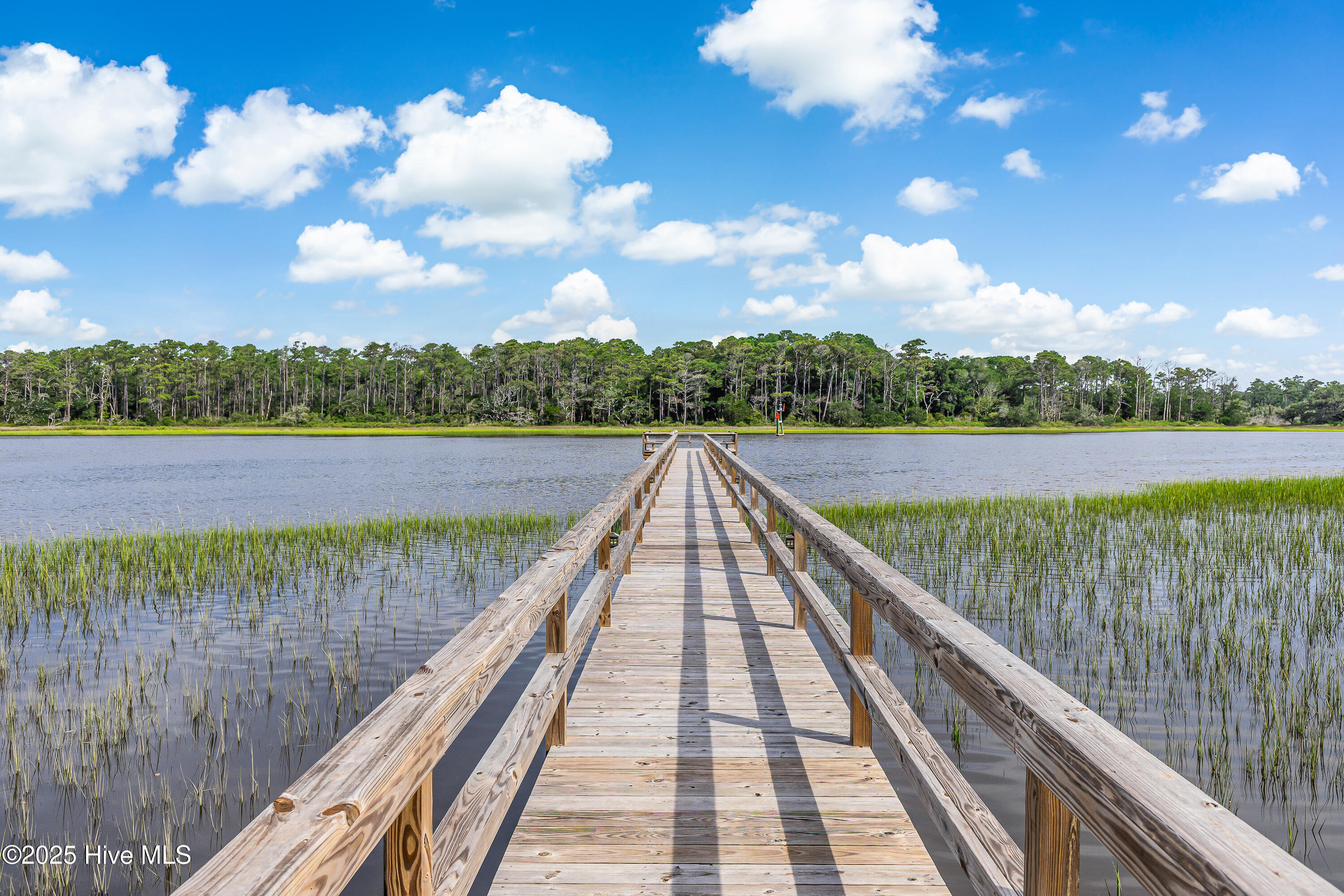 100526999 | Photo 58