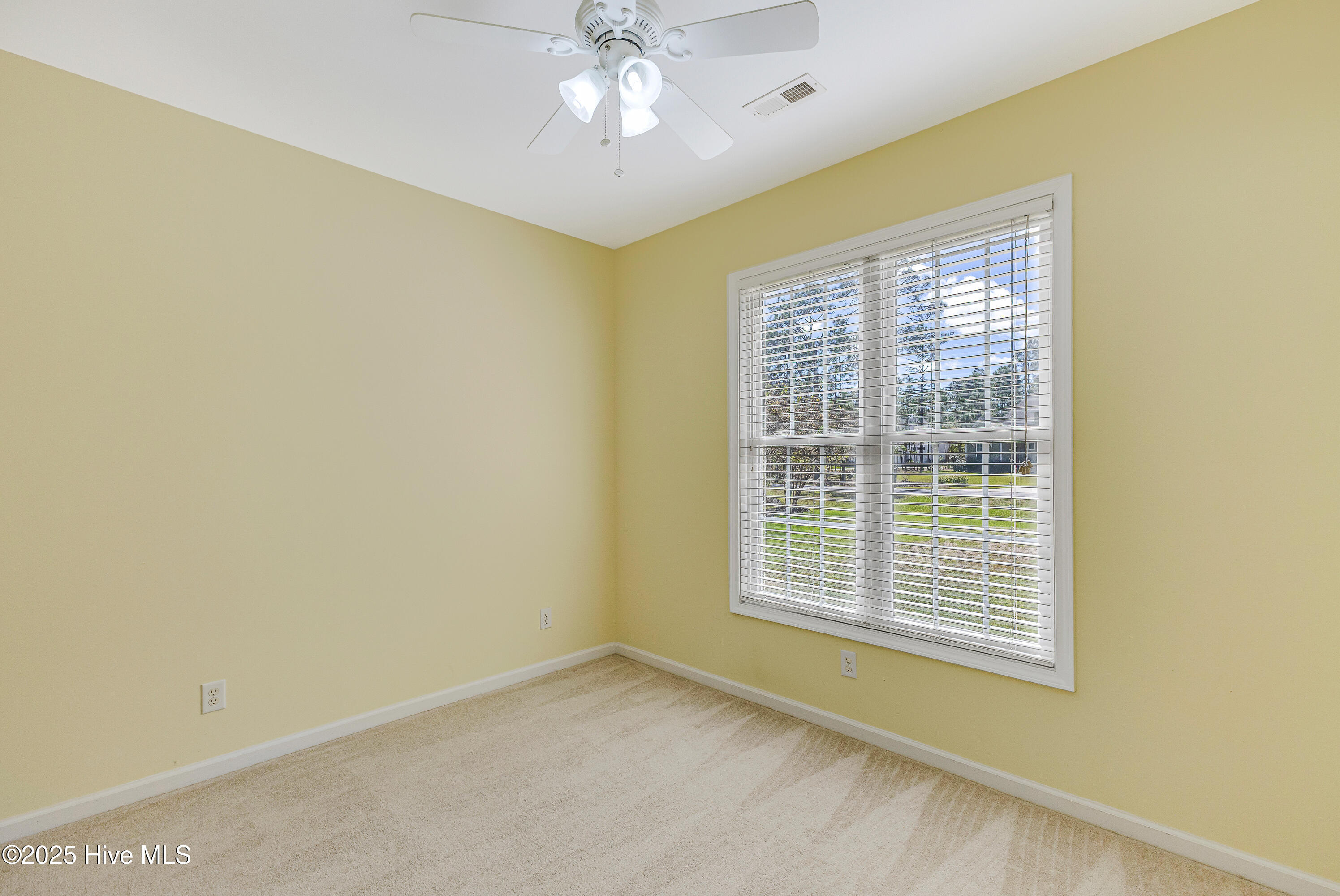 100535789 | Photo 20