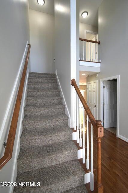 100558336 | Photo 11