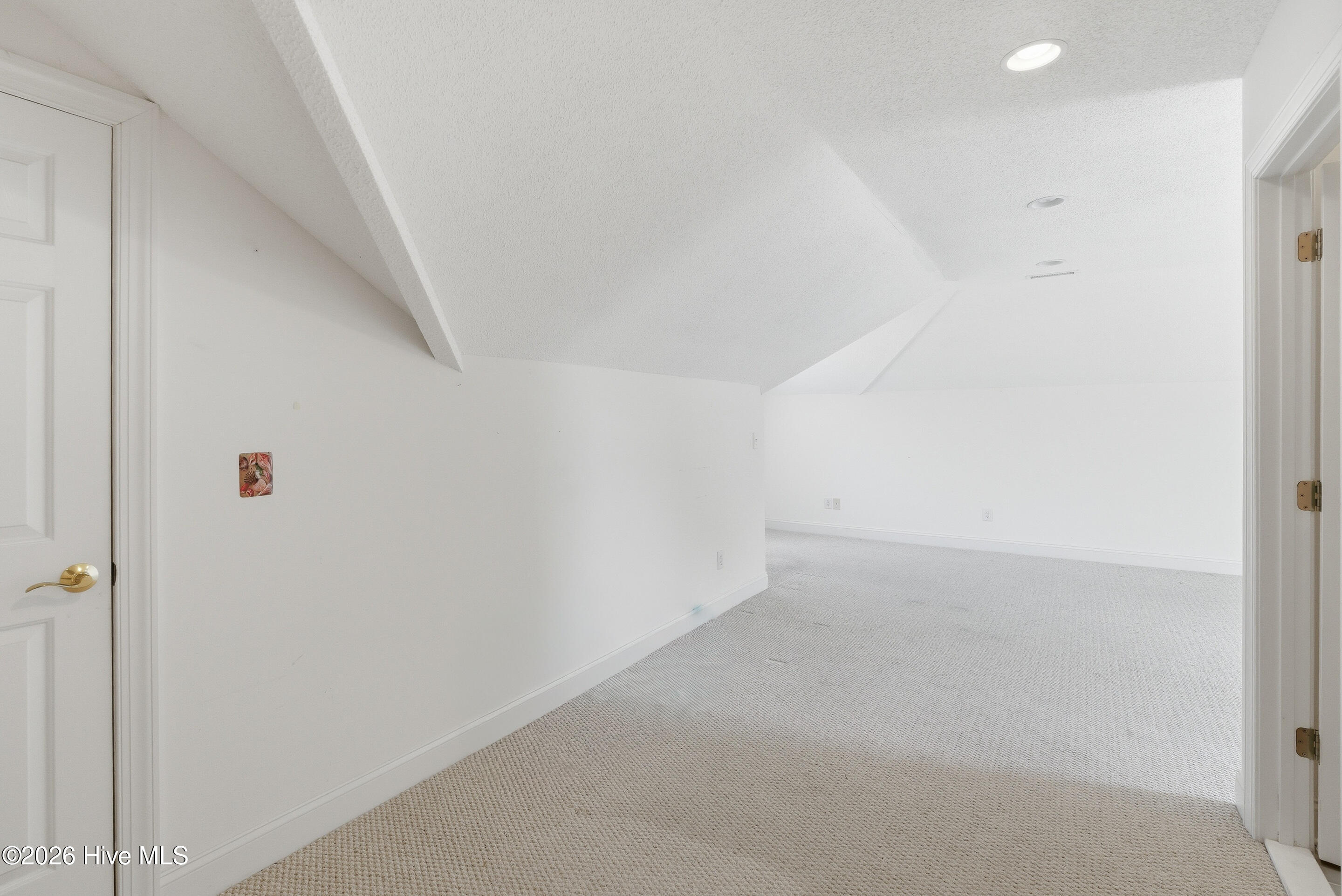 100564038 | Photo 40