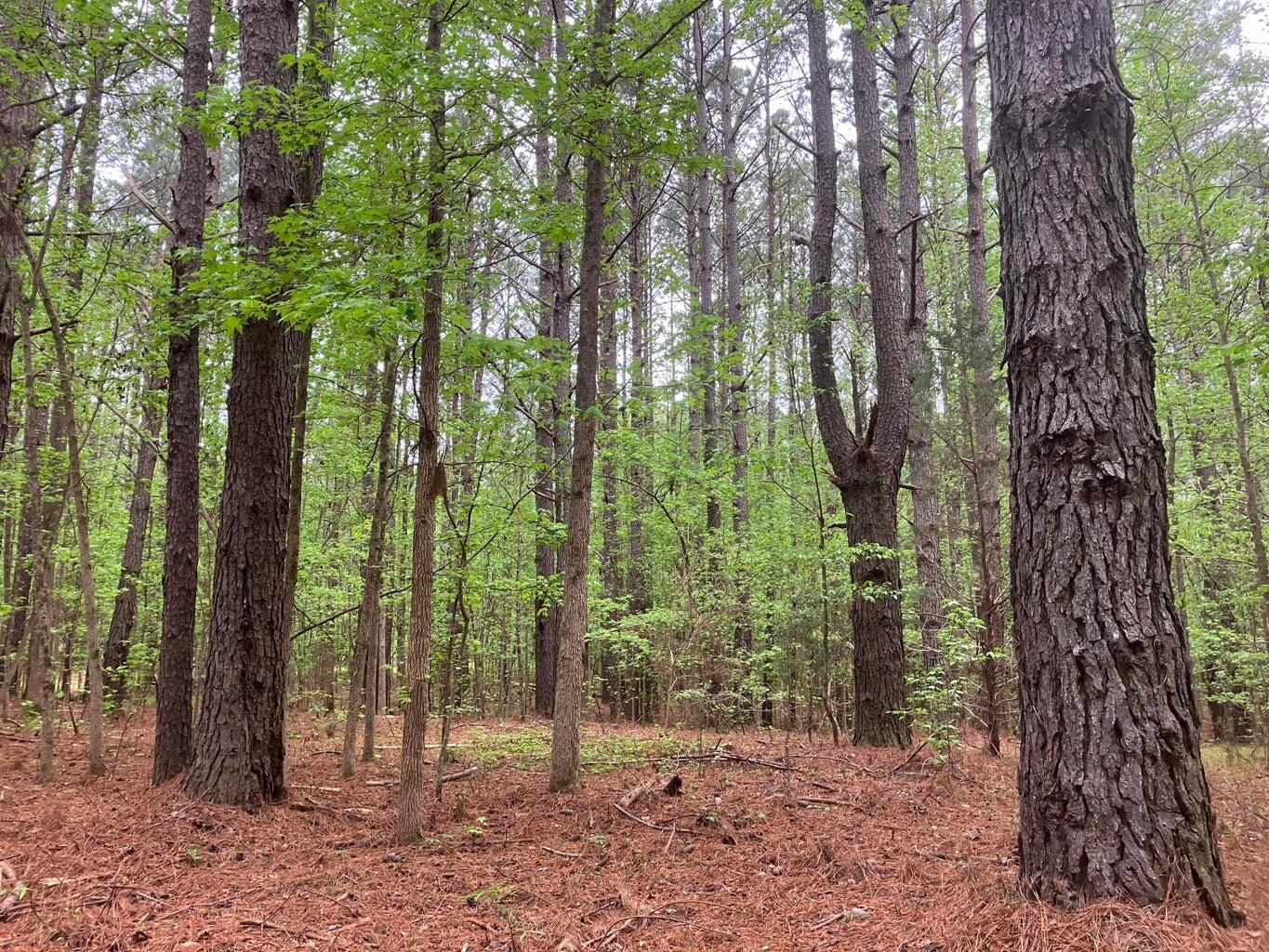 0 Gales Road, Appling, GA, 30802