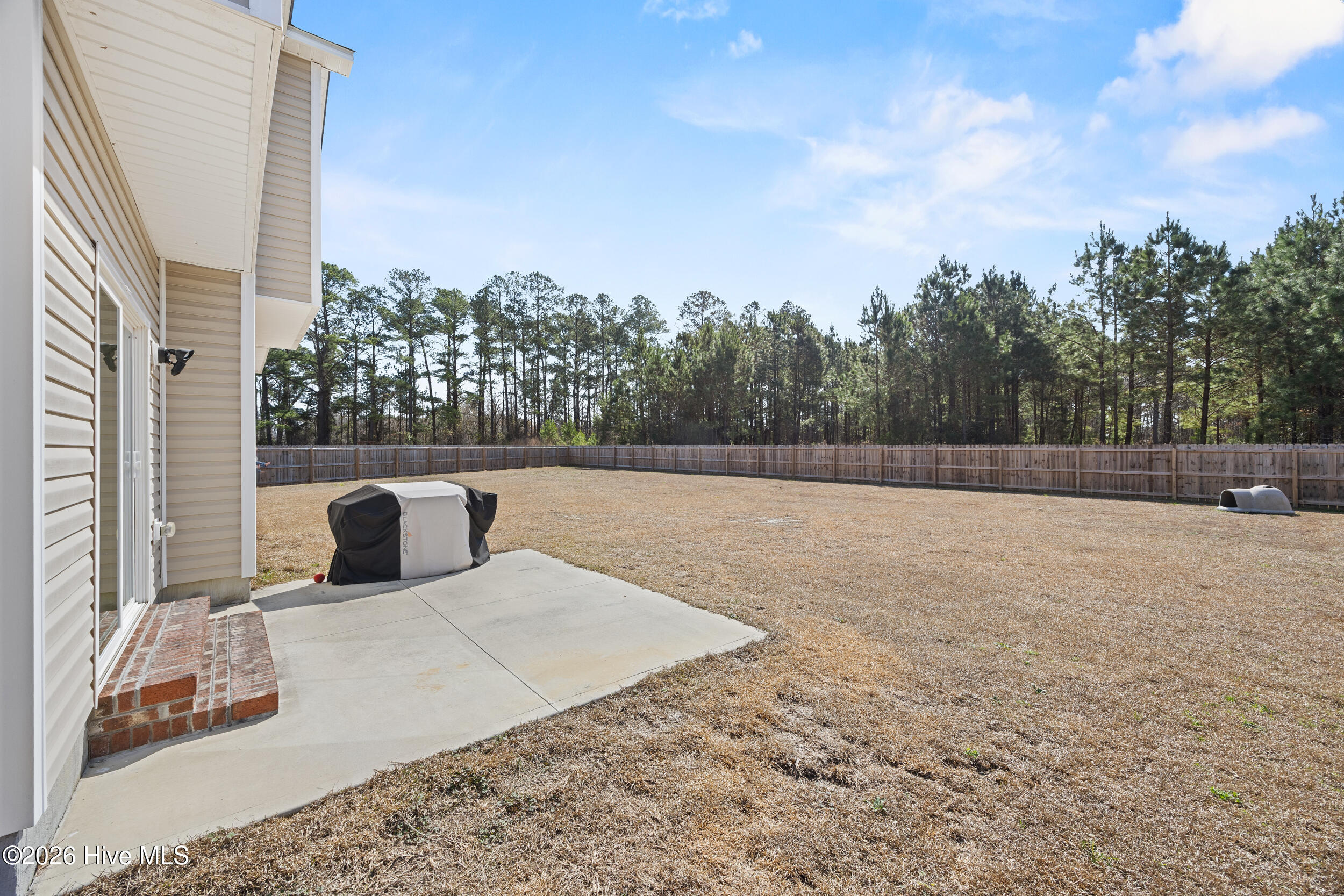 100558005 | Photo 39