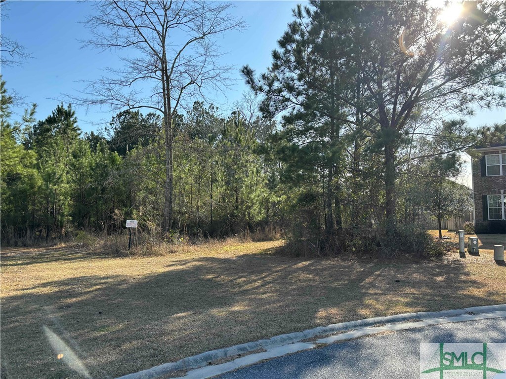 206 Lennox Place, Rincon, GA, 31326