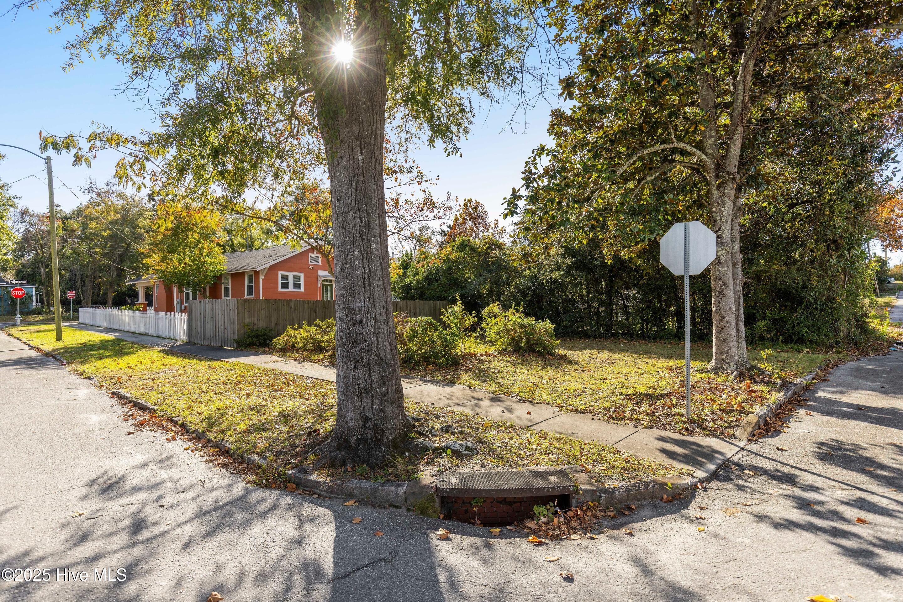 100541674 | Photo 48