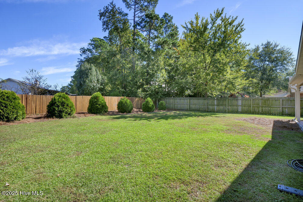 100555052 | Photo 27