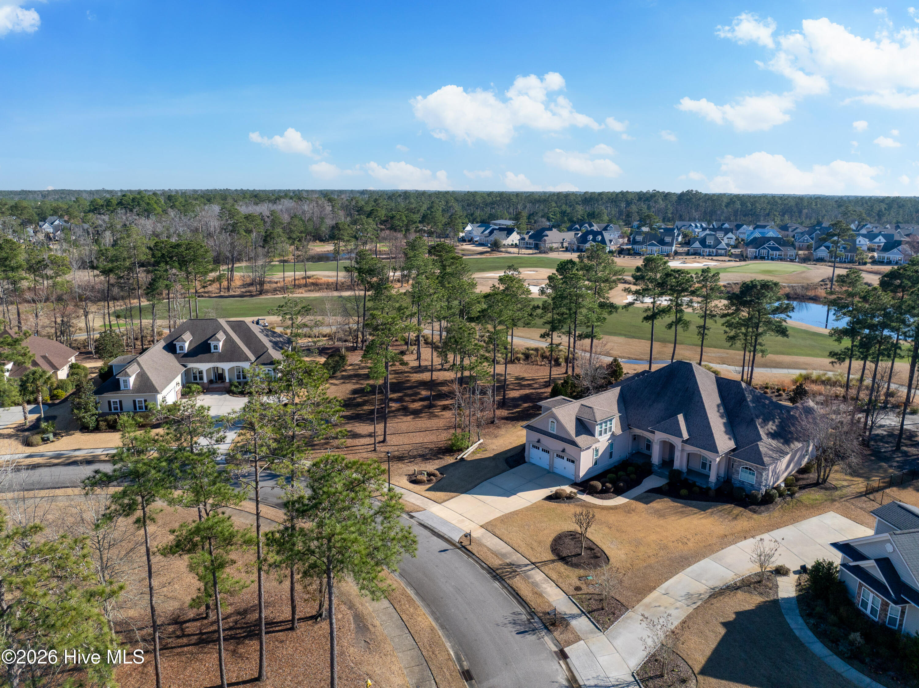 100557146 | Photo 19