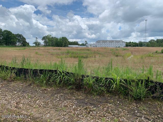 100512196 | Photo 16