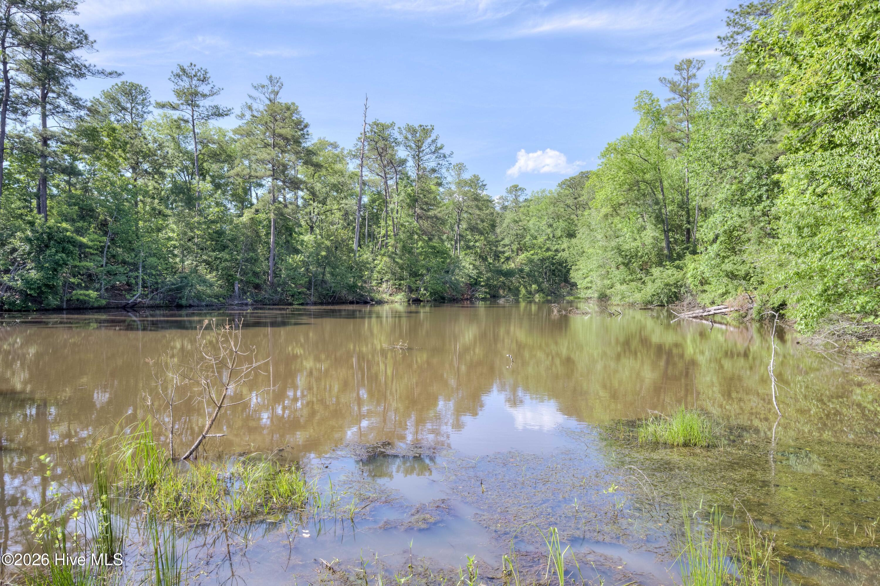 818 Elsie Drive, North Augusta, SC 29860 Listing Photo  37